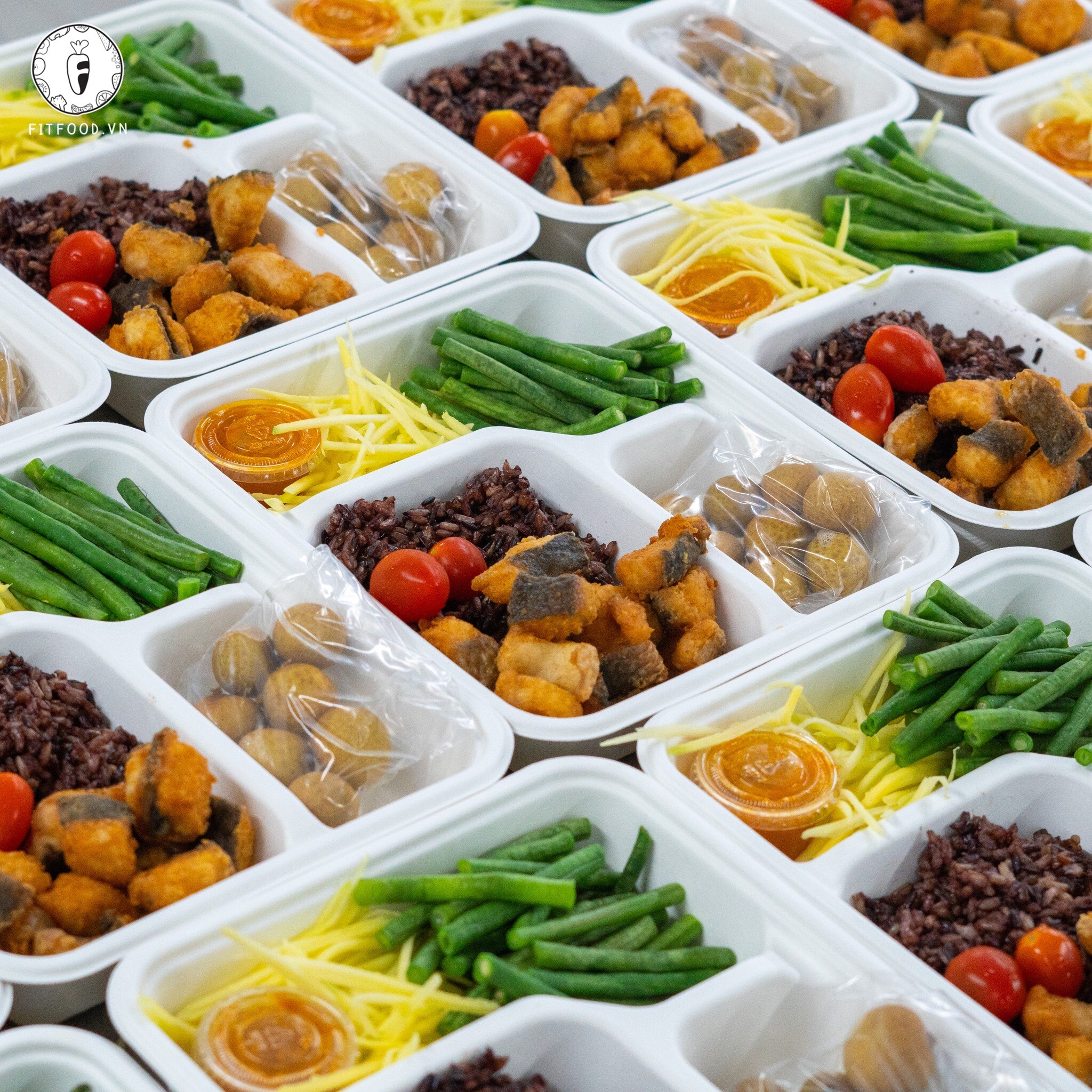 Fitfood Việt Nam 5