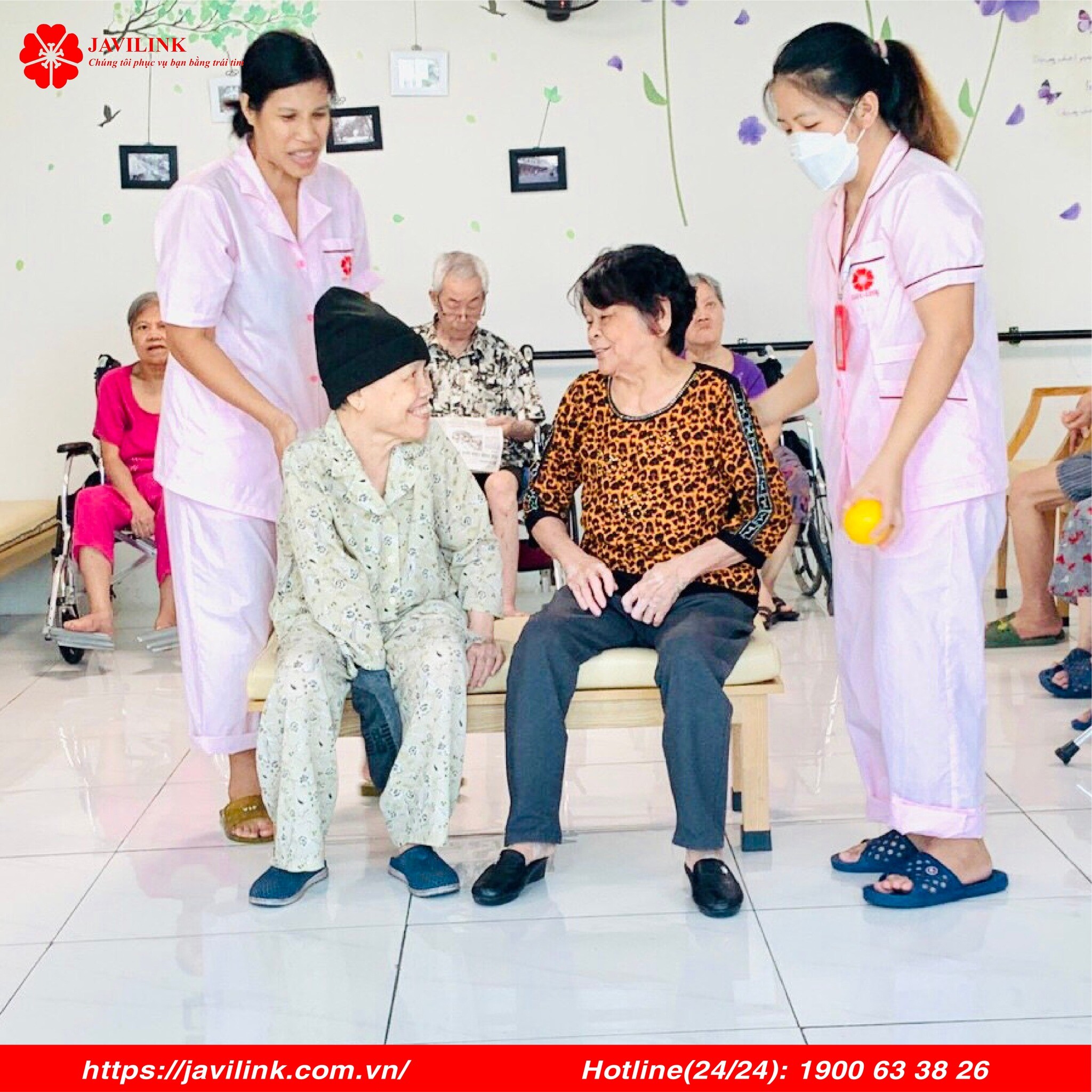 JAVILINK VIỆT NAM 6