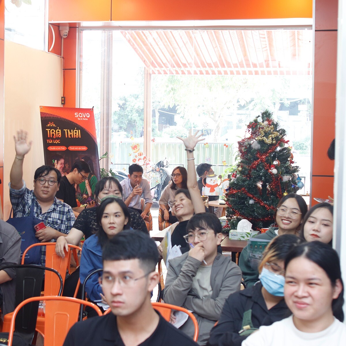 TRÀ THẢO MỘC SAVO 6