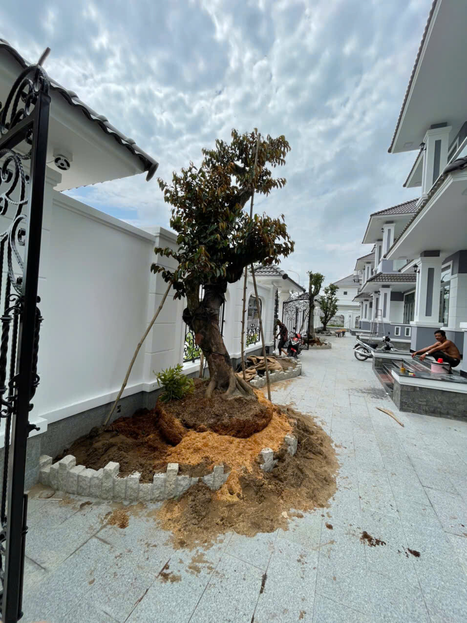 THIẾT KẾ KIẾN TRÚC XÂY DỰNG THẢO NGUYÊN 6