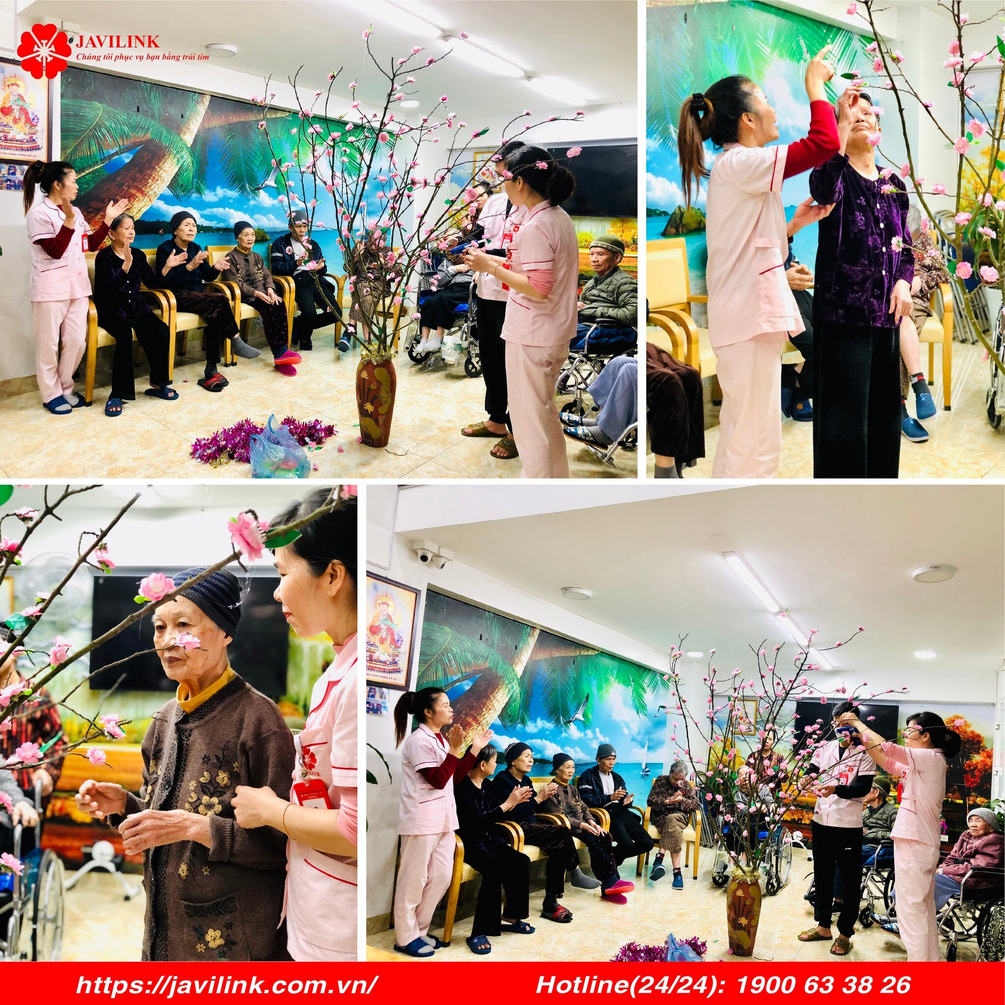 JAVILINK VIỆT NAM 5