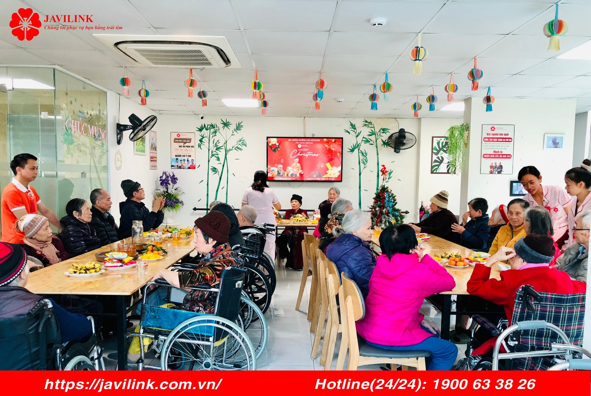 JAVILINK VIỆT NAM 3