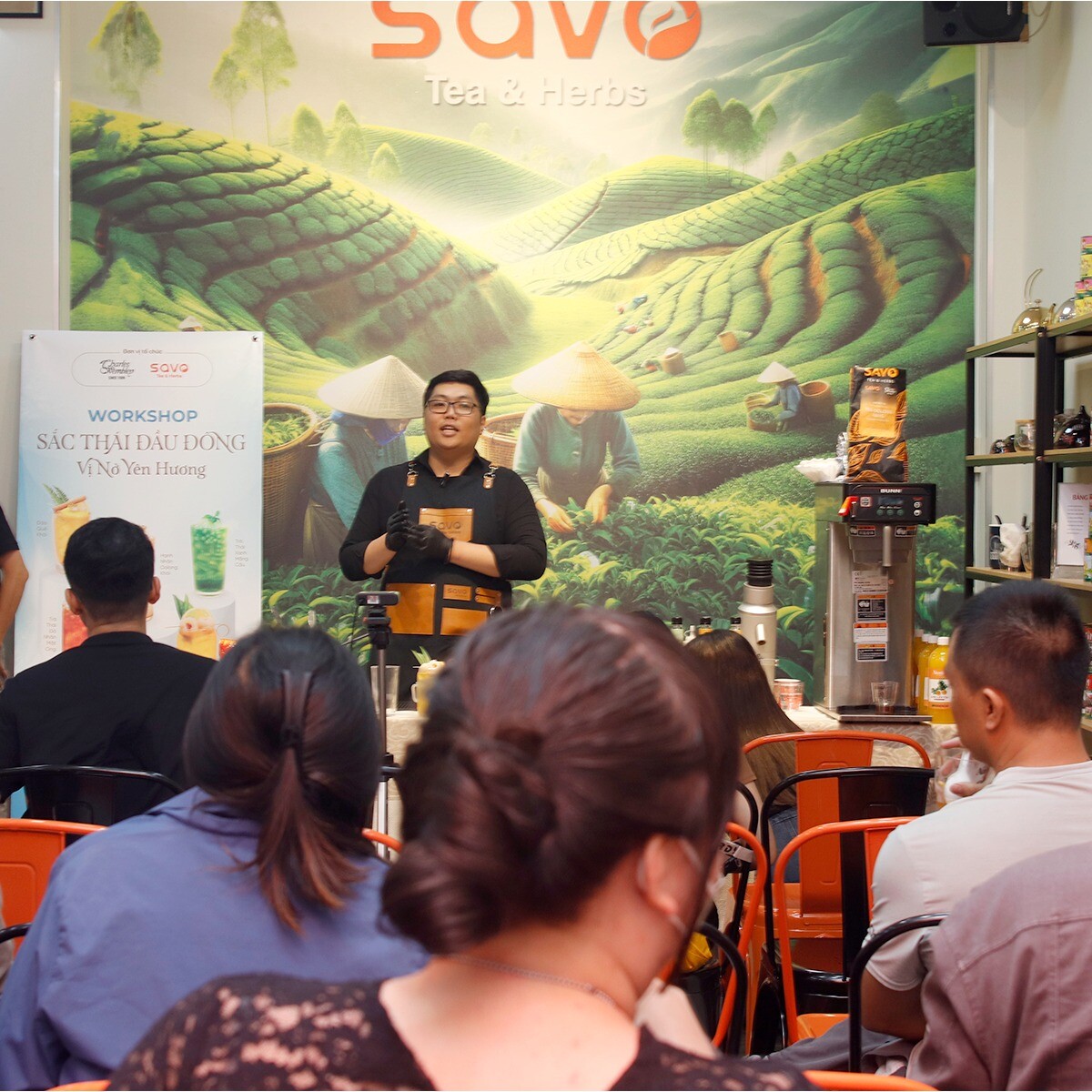 TRÀ THẢO MỘC SAVO 7