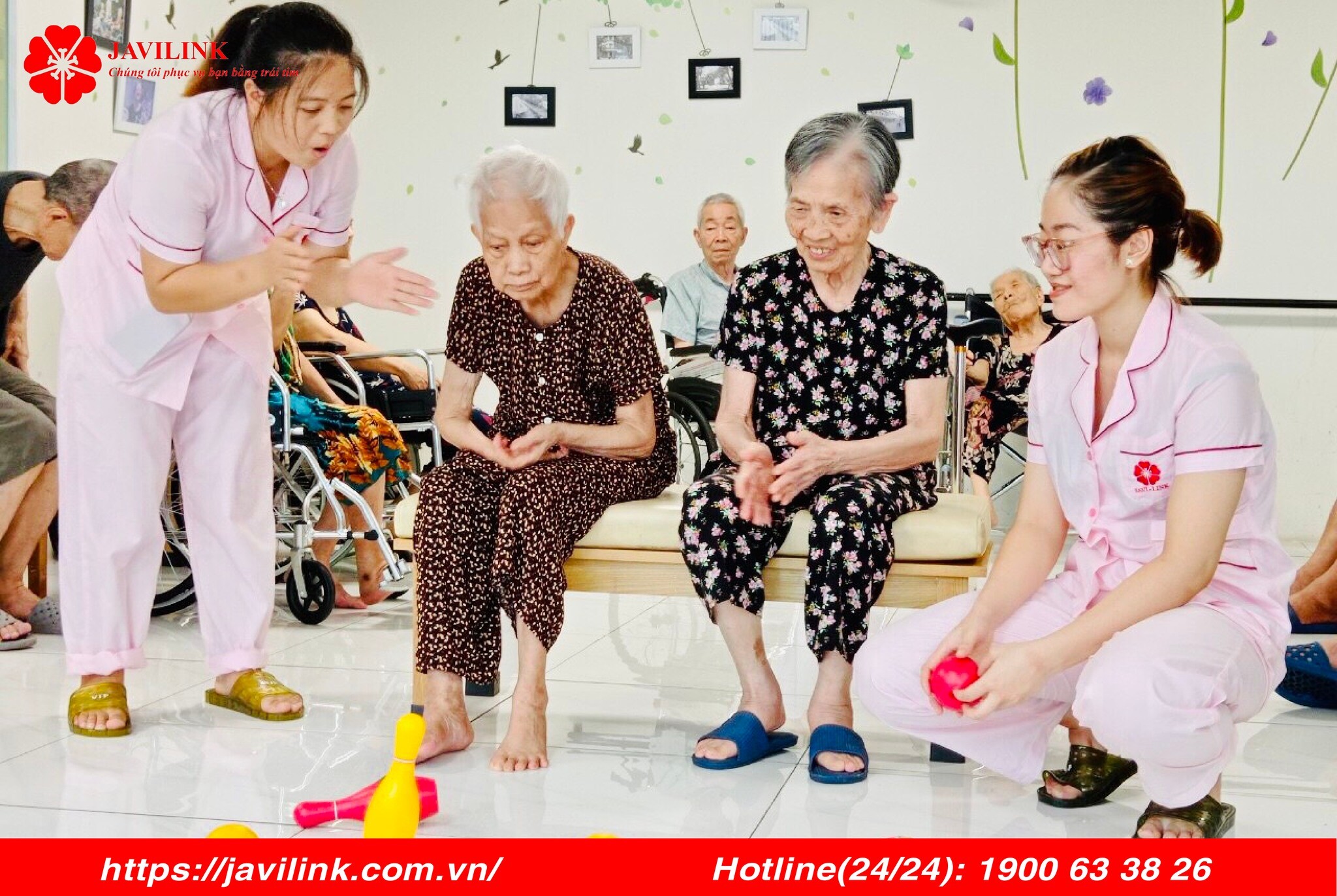 JAVILINK VIỆT NAM 2