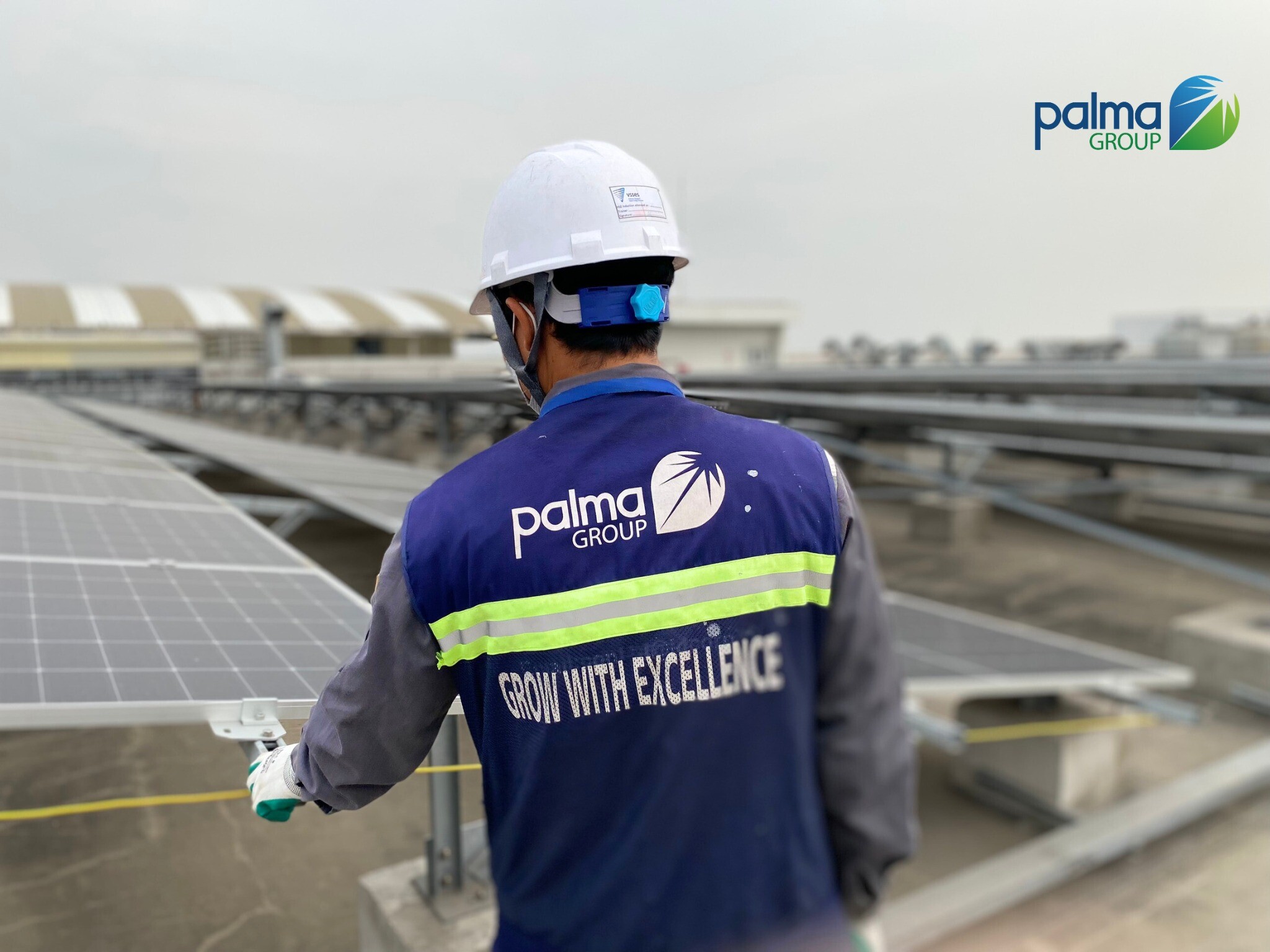 Giải Pháp Palma 15