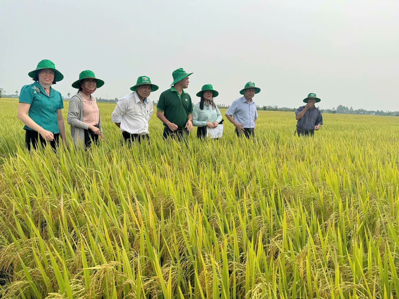 Tập Đoàn Quế Lâm 9