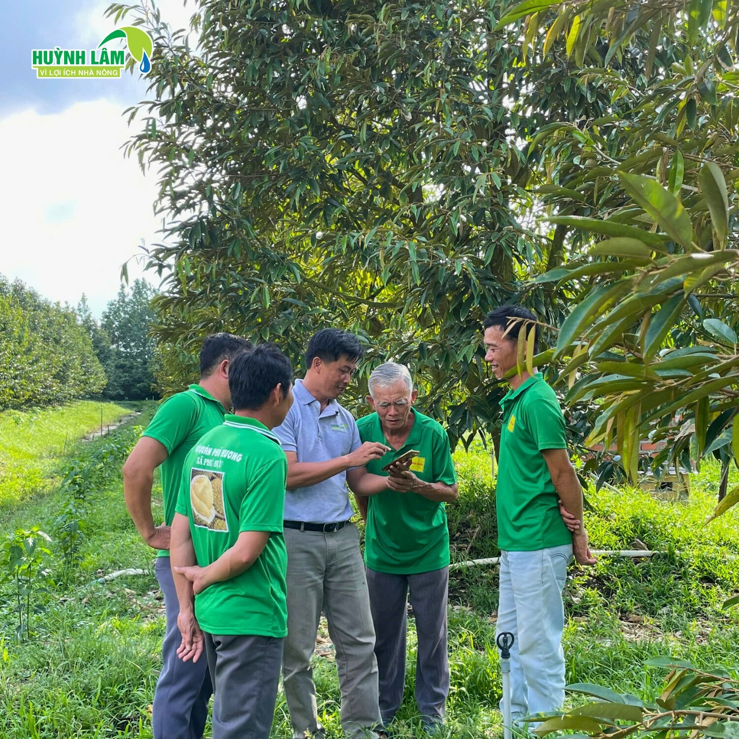 Phân Bón Huỳnh Lâm 10