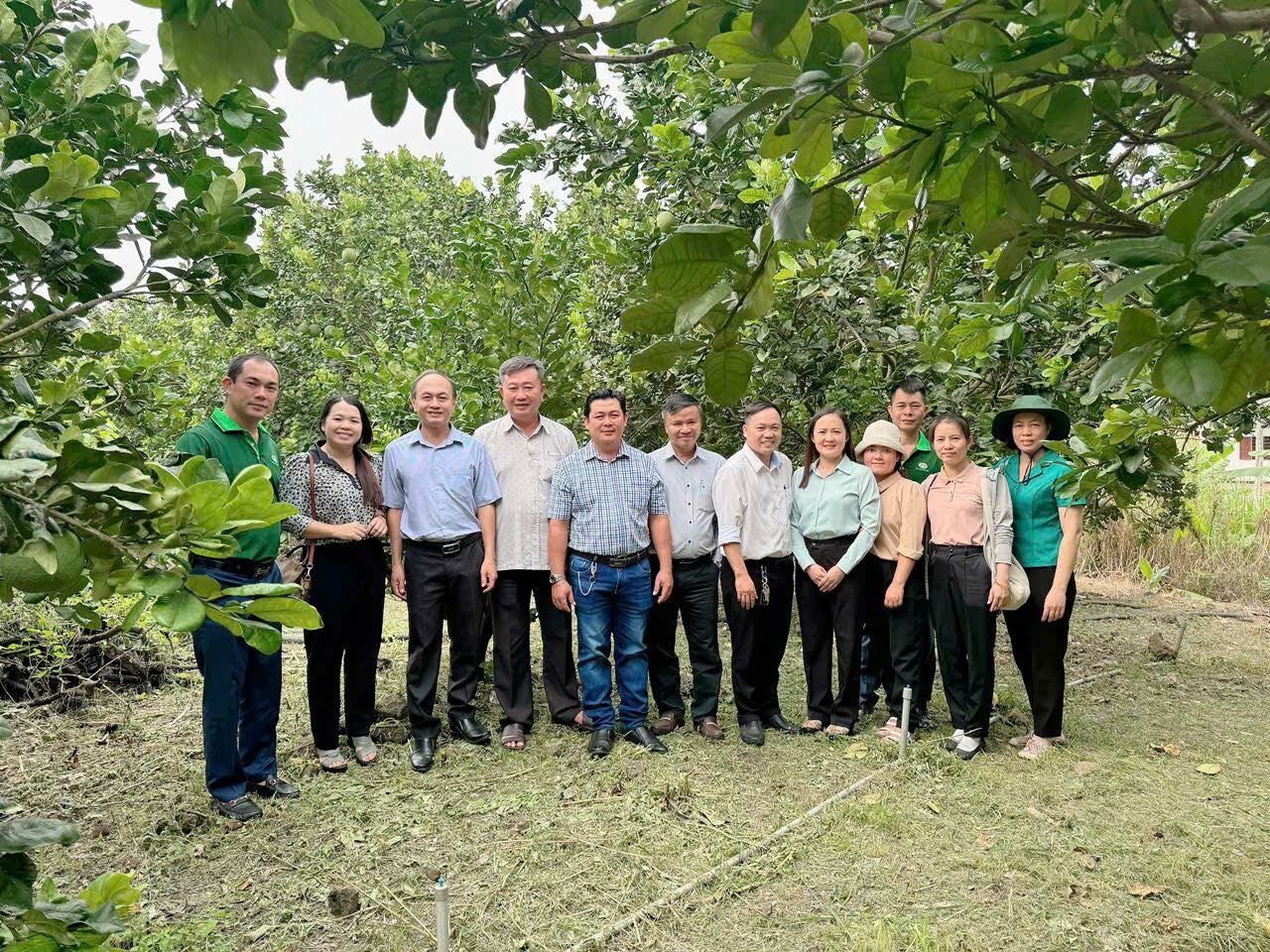 Tập Đoàn Quế Lâm 10