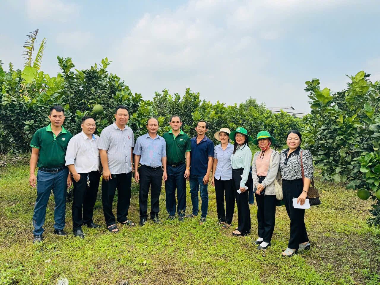 Tập Đoàn Quế Lâm 8