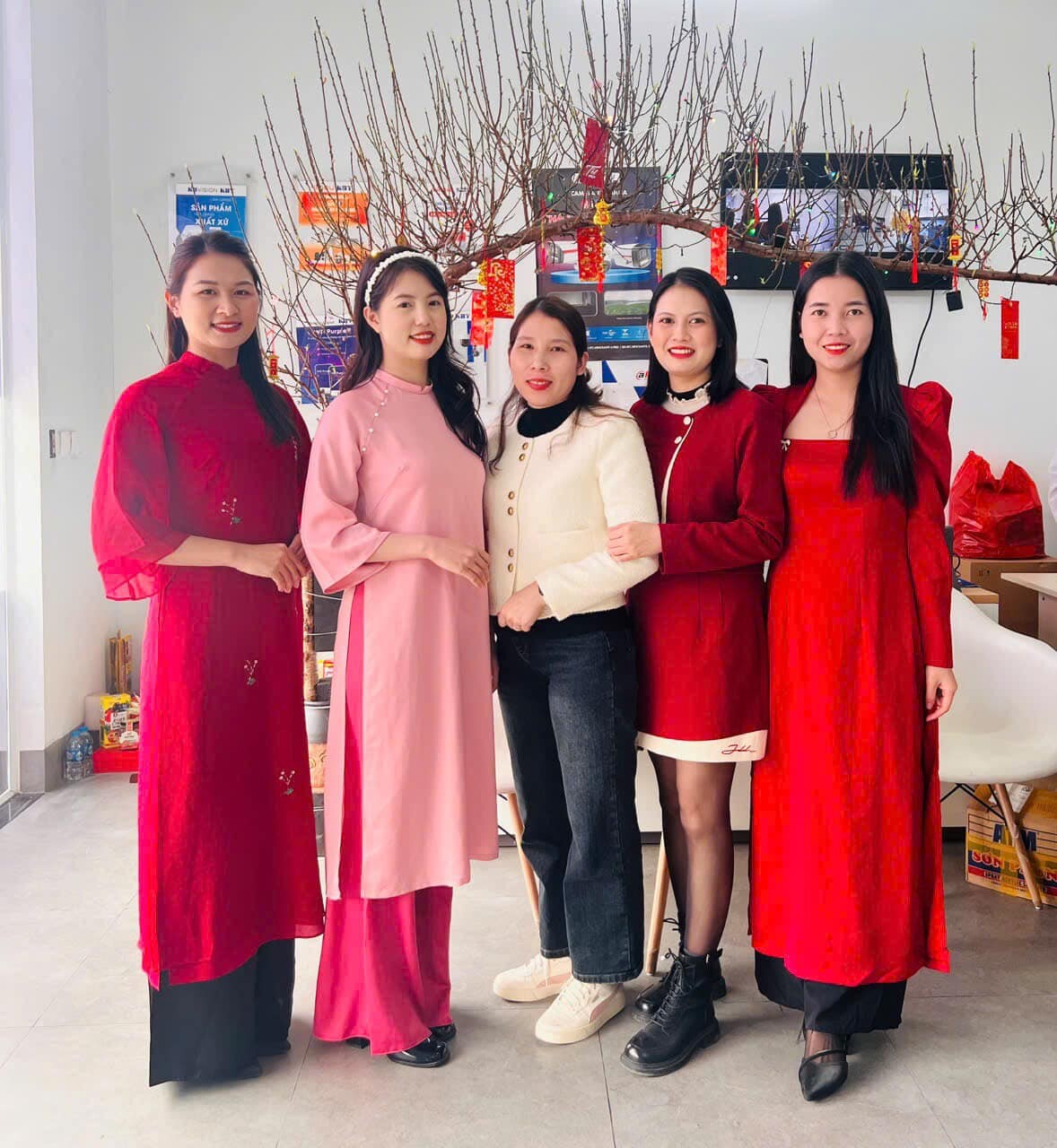 PHÂN PHỐI KABE T 10