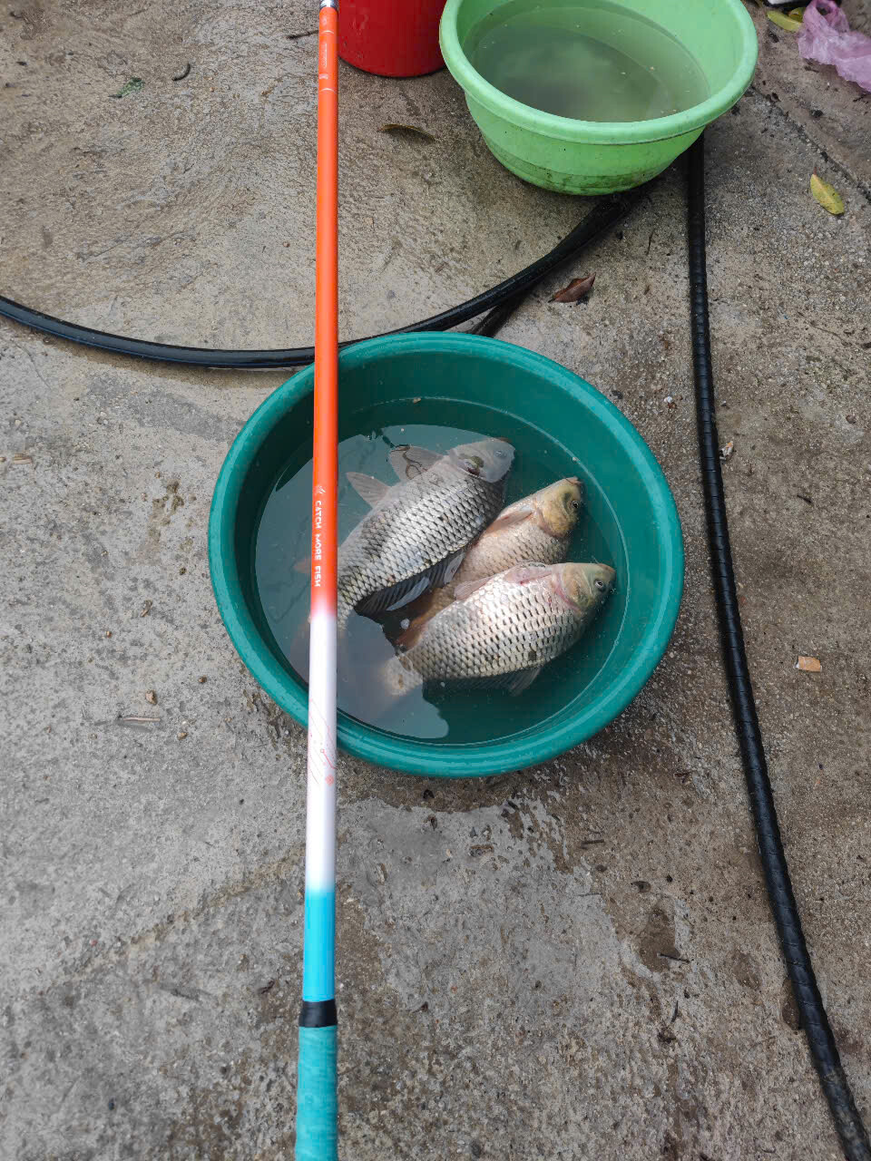 Kr Fishing - Đồ Câu Khánh Râu 6