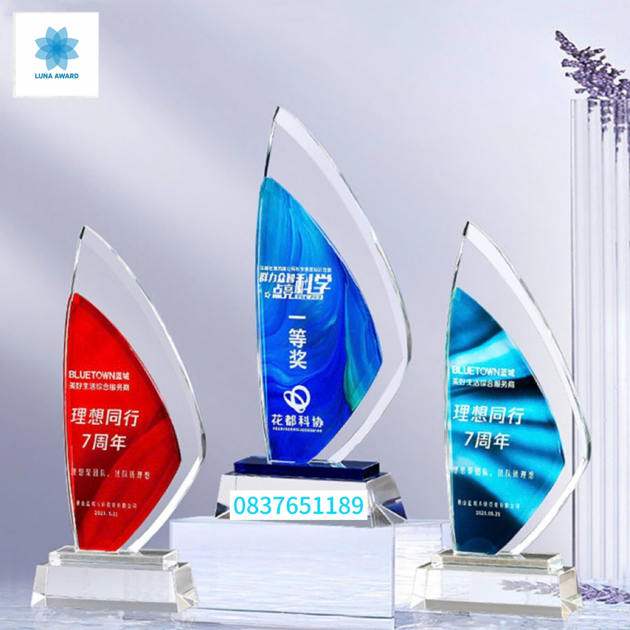 Luna Award Việt Nam 4