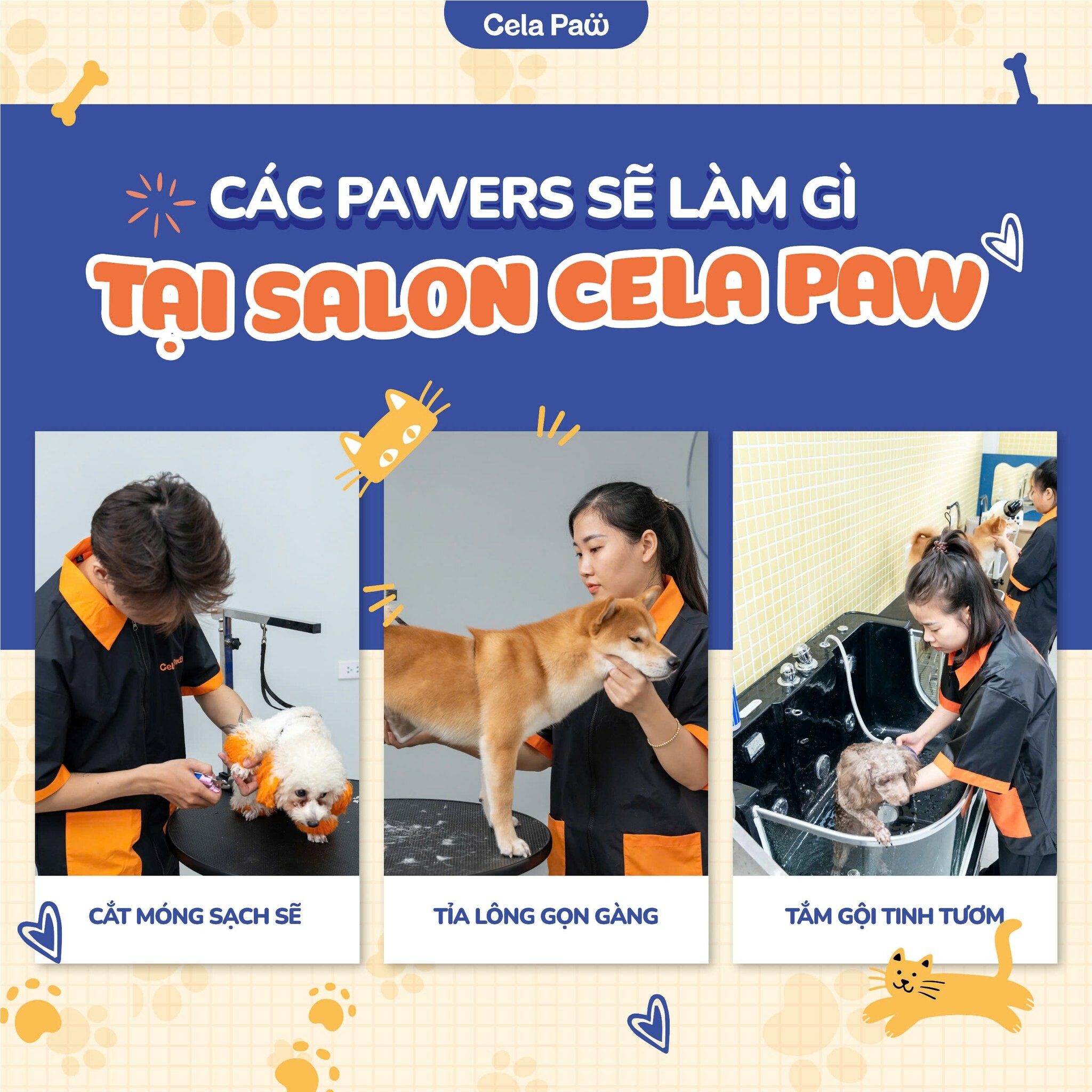 Cela Paw 11