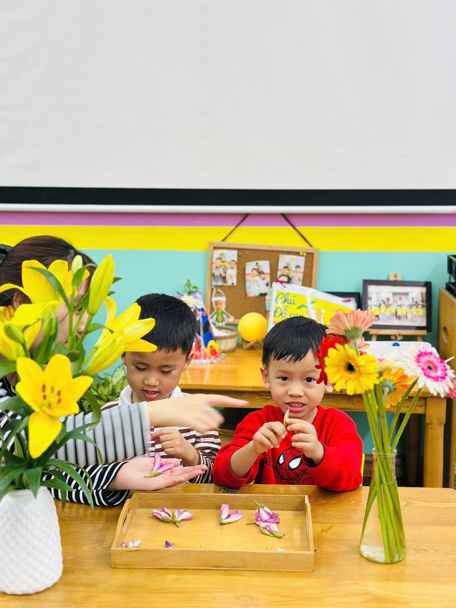 TRƯỜNG MẦM NON CHÚ NGỰA HOMIE 1