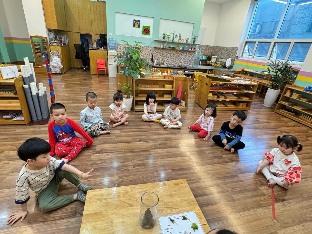 TRƯỜNG MẦM NON CHÚ NGỰA HOMIE 9