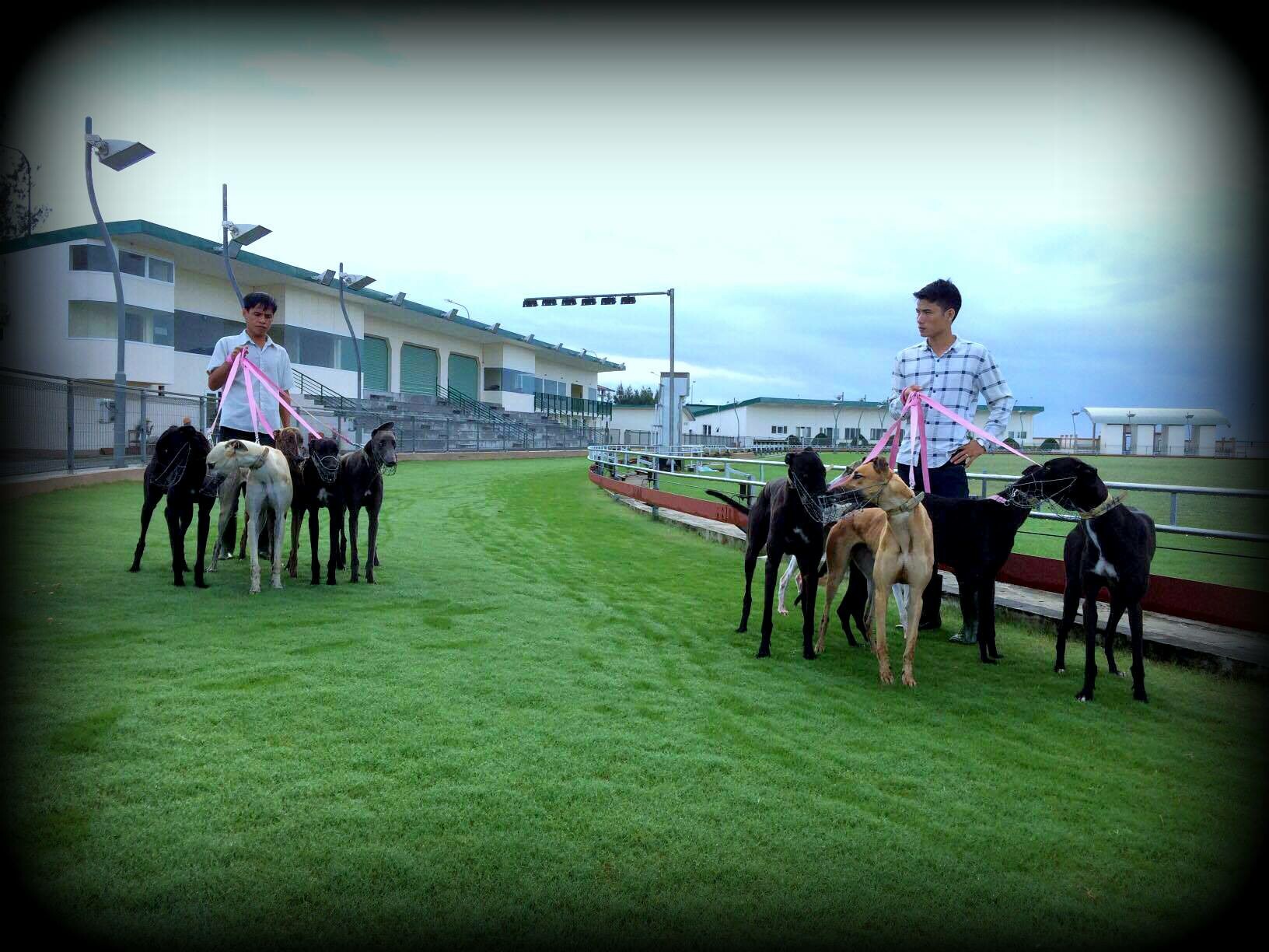 Đua Chó Xuân Thành 5