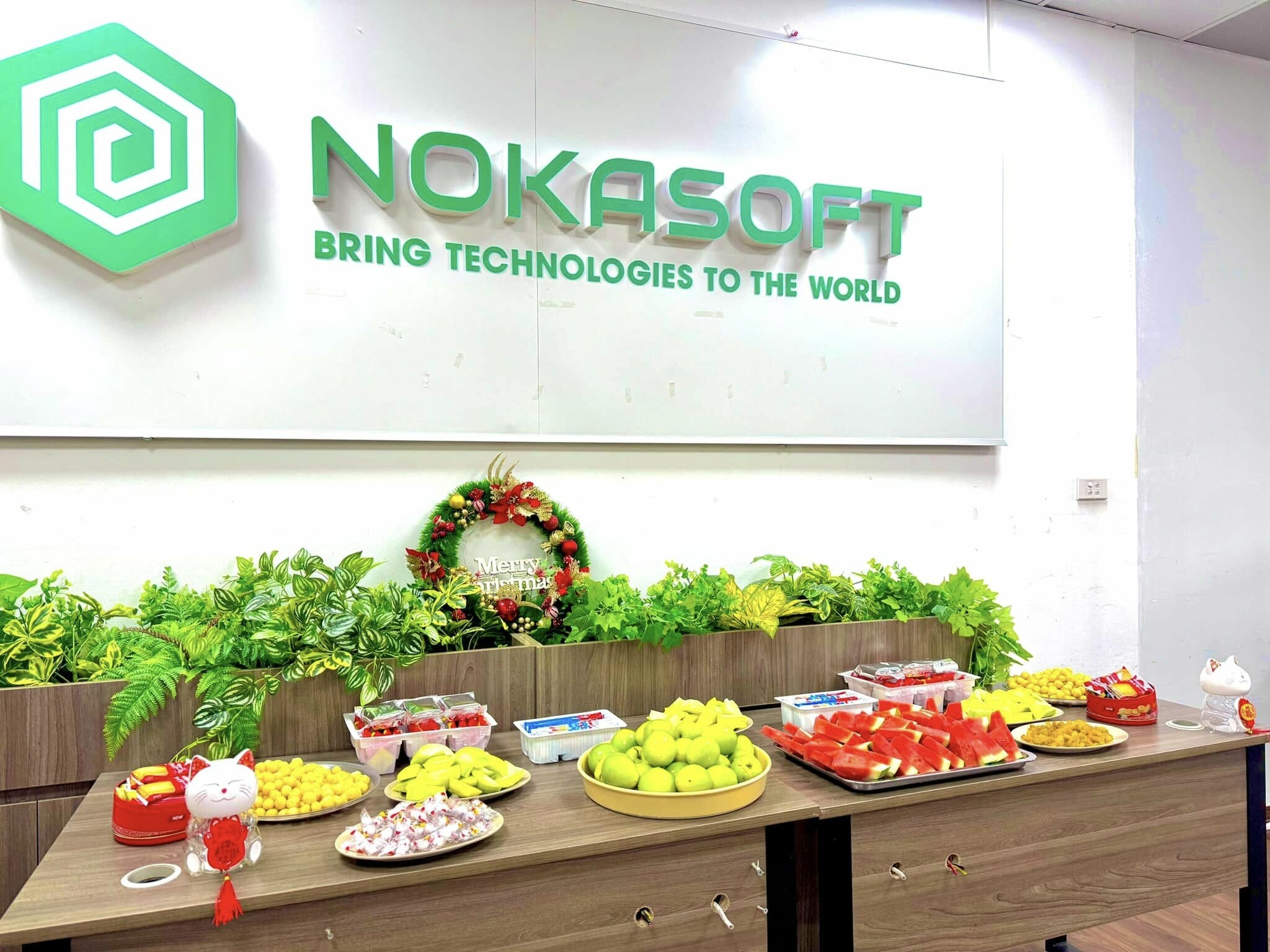 Nokasoft Việt Nam 9