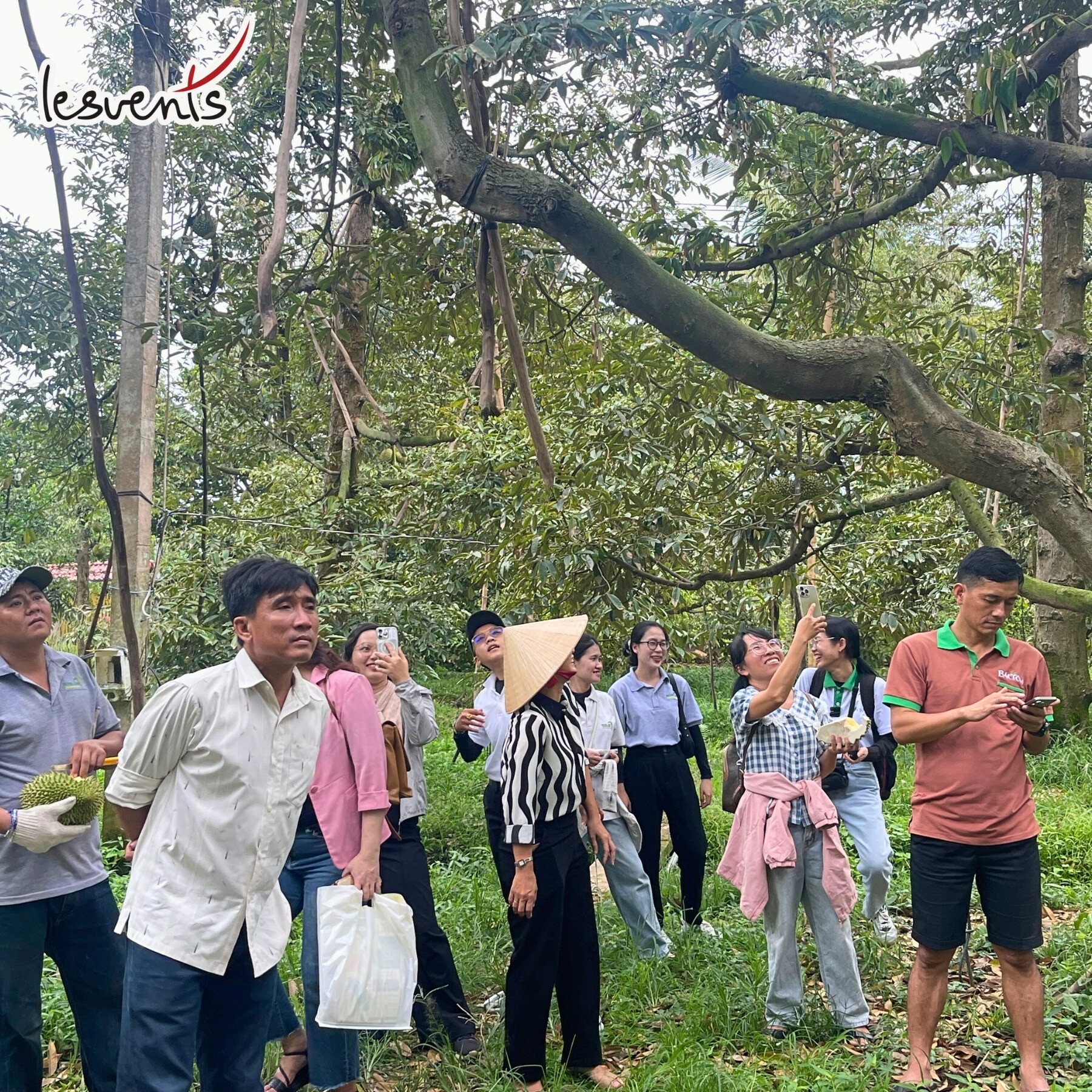 Phân Bón Huỳnh Lâm 4