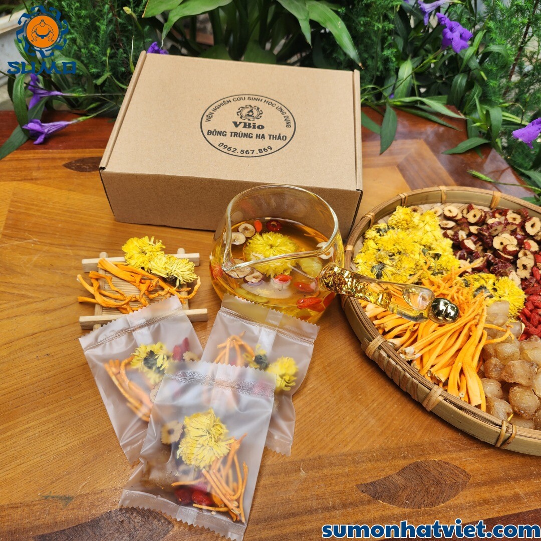 SuMo Nhật Việt 11