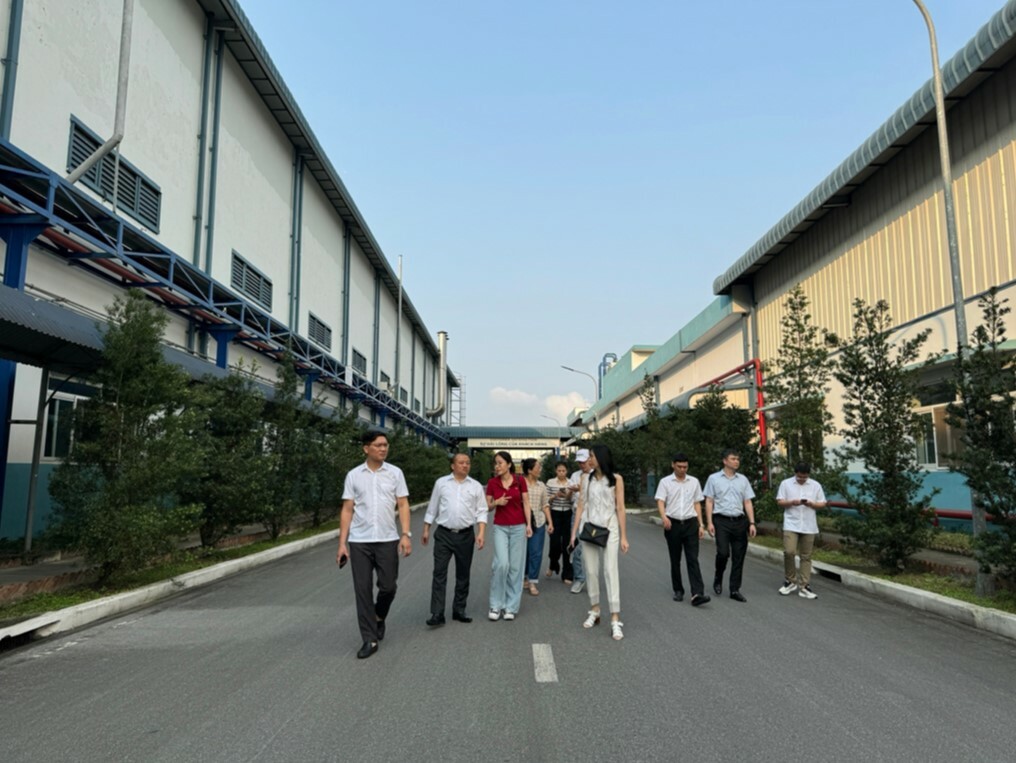 Đầu Tư Hạ Tầng Khu Công Nghiệp Bảo Minh 8