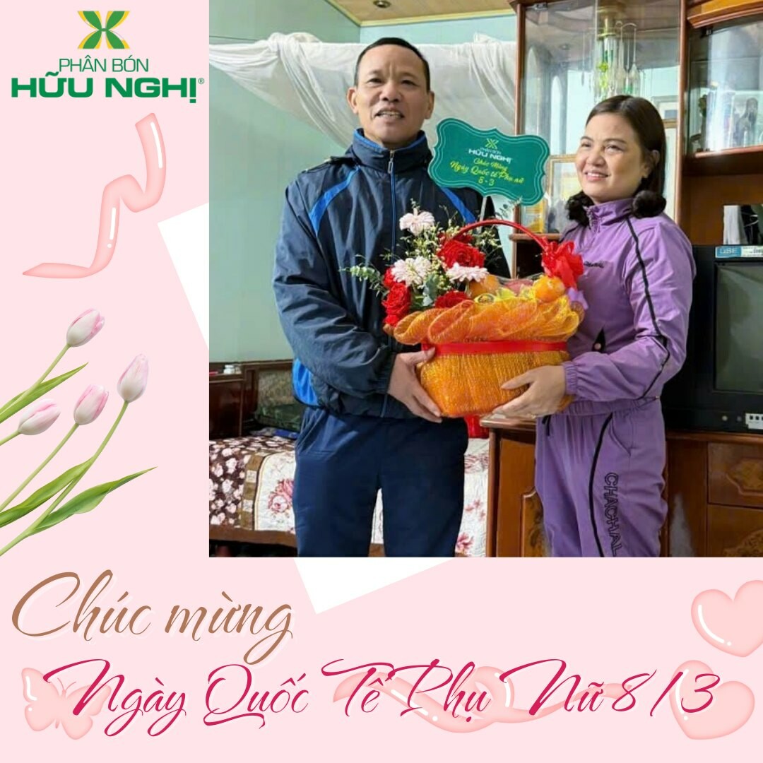 Liên doanh phân bón Hữu Nghị 1