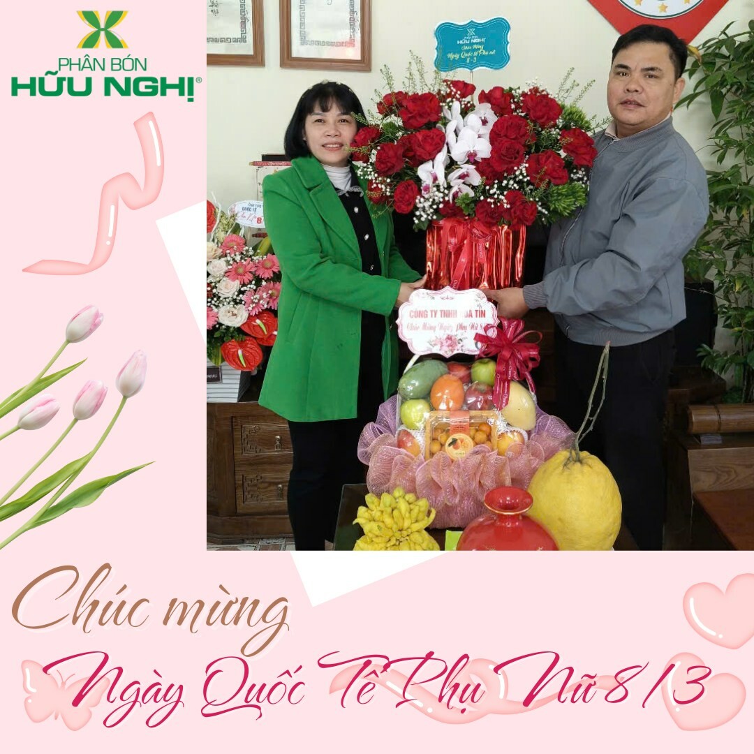 Liên doanh phân bón Hữu Nghị 3