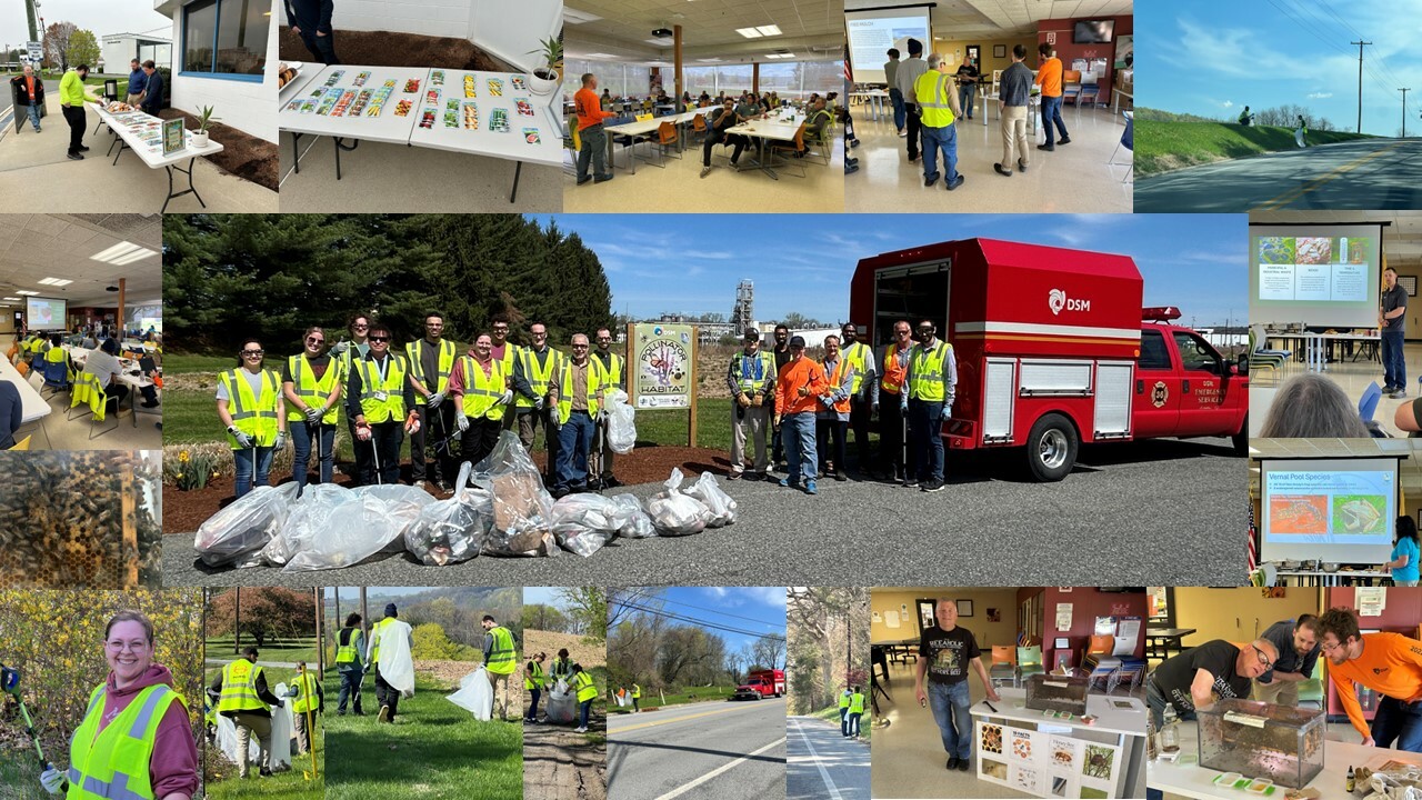 dsm-firmenich Belvidere NJ 11