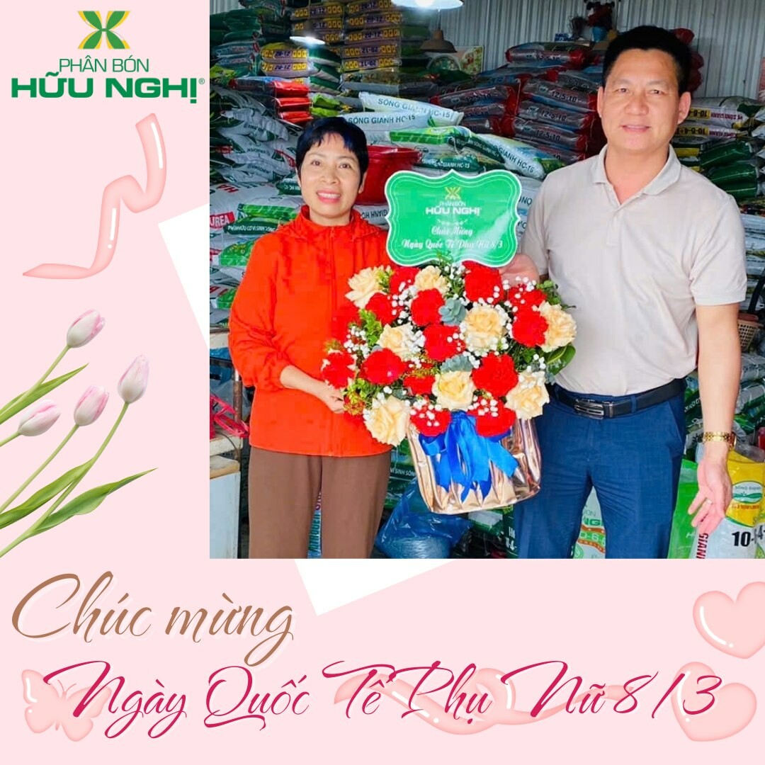 Liên doanh phân bón Hữu Nghị 4