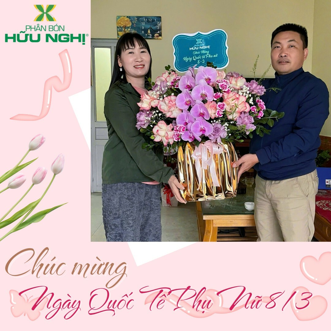 Liên doanh phân bón Hữu Nghị 2