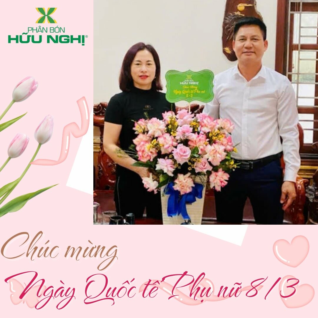 Liên doanh phân bón Hữu Nghị 8