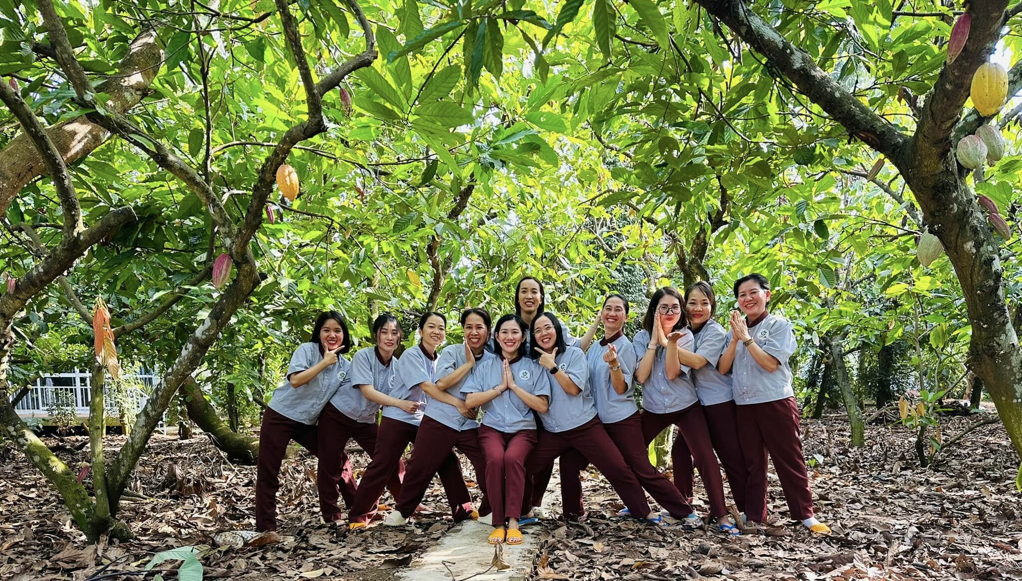 Thương Mại - Dịch Vụ Sản Xuất Ca Cao Thành Đạt 3