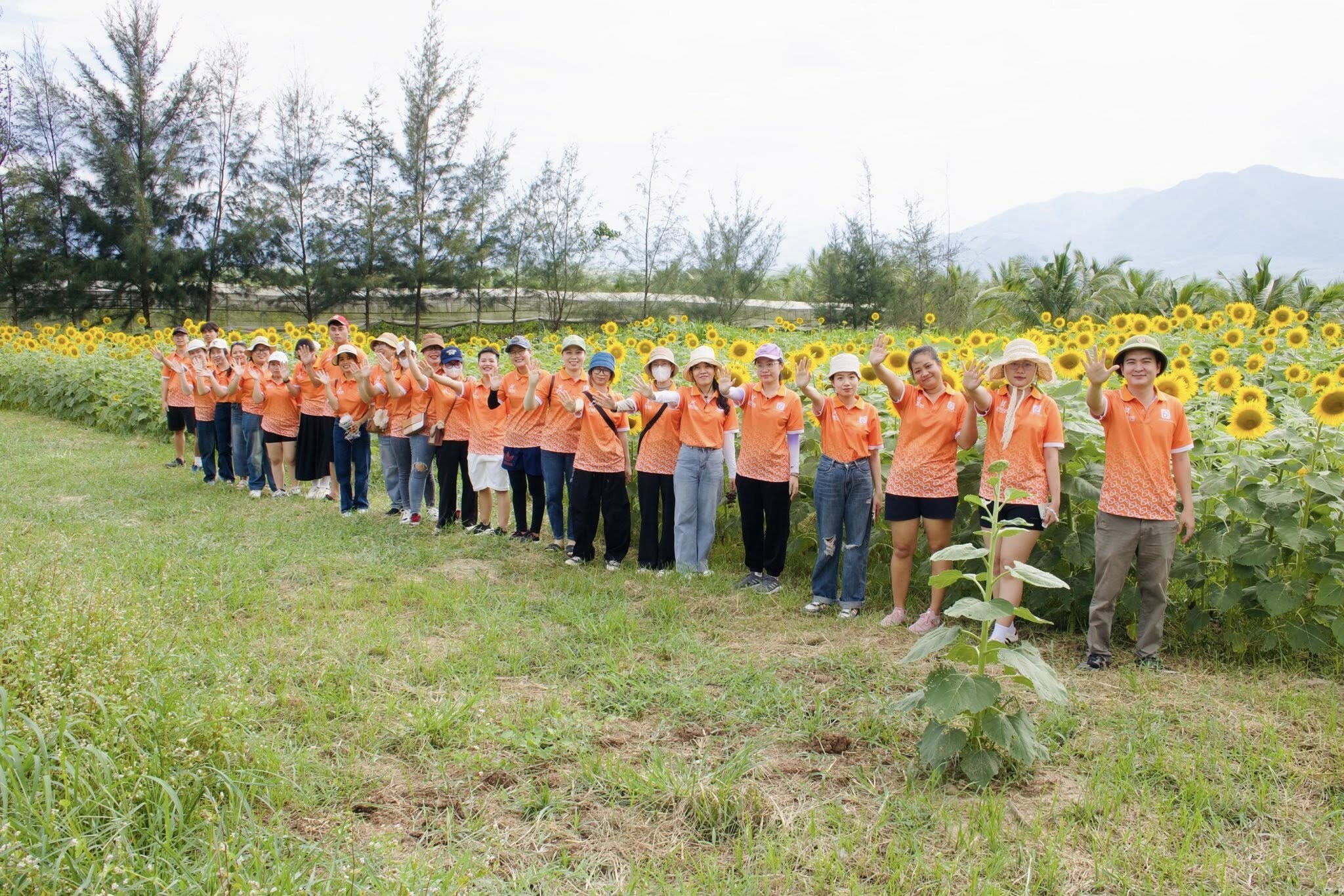 NÔNG NGHIỆP THE MOSHAV FARM 2