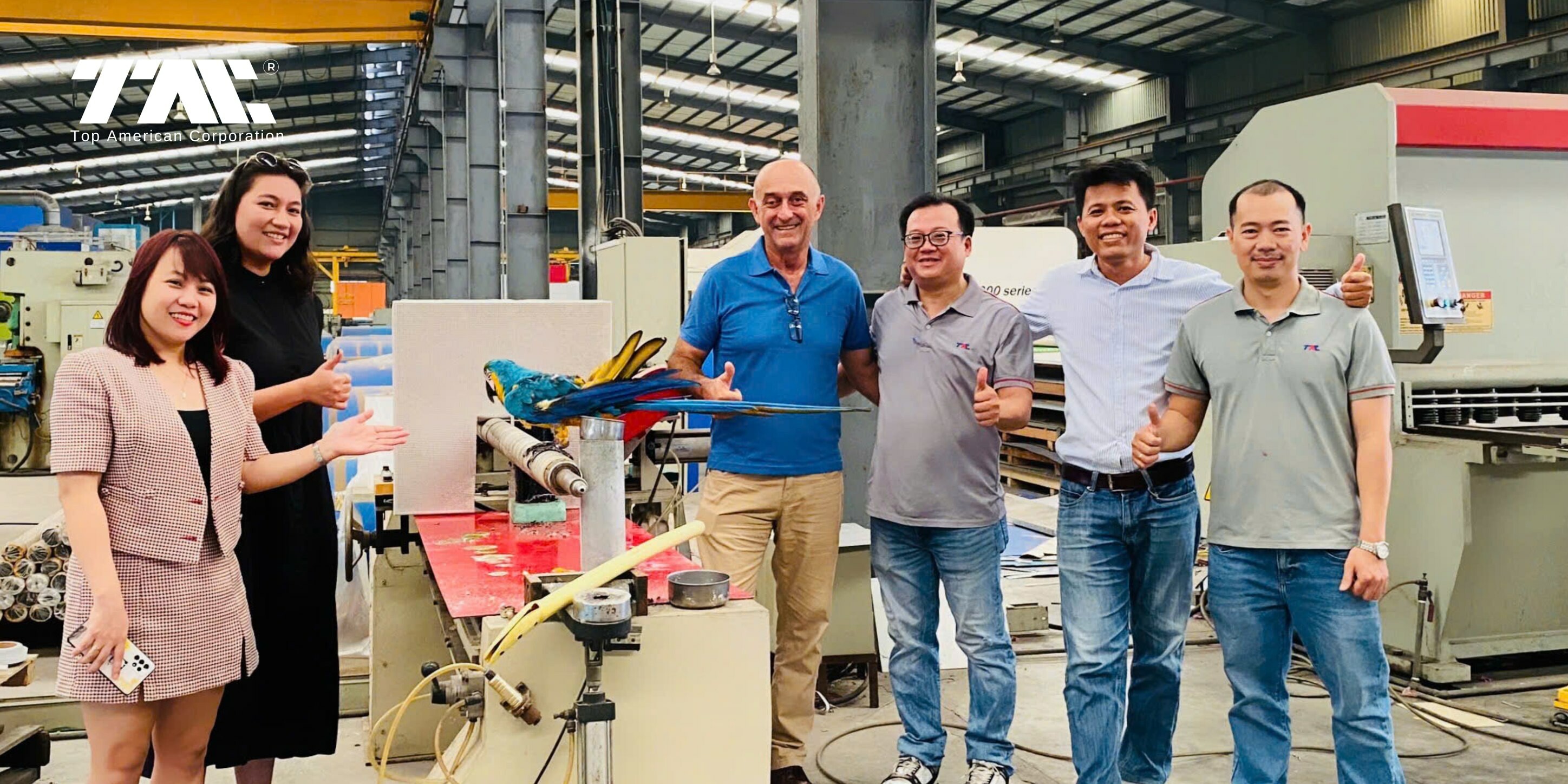 Công ty cổ phần Top American Corporation (TAC) 11