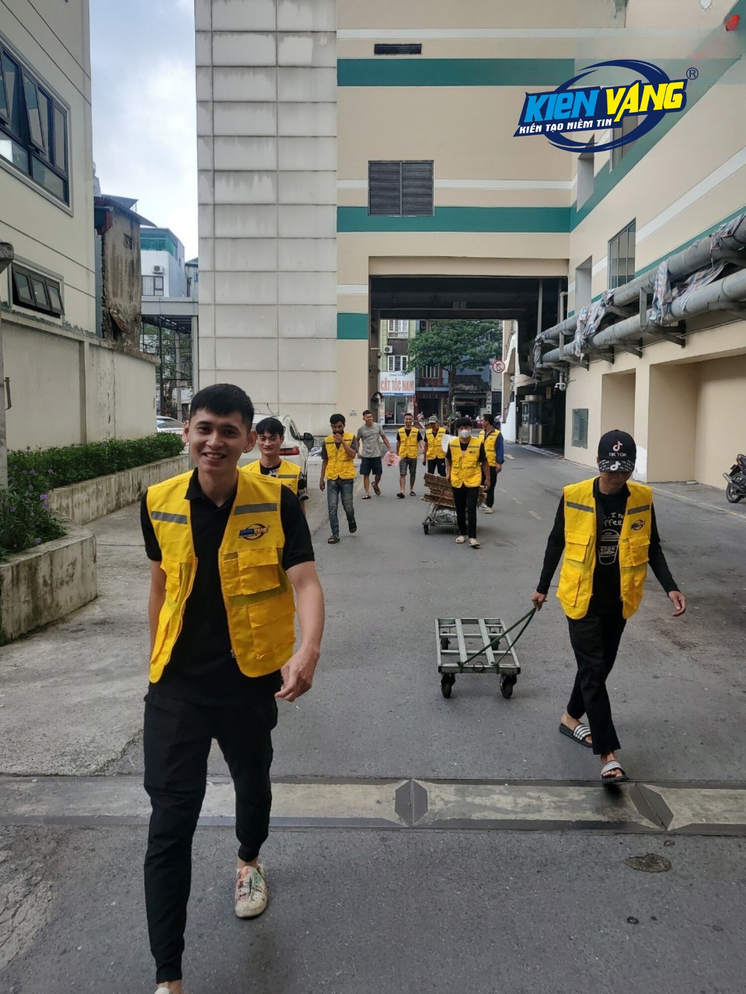 KIẾN VÀNG GROUP 4