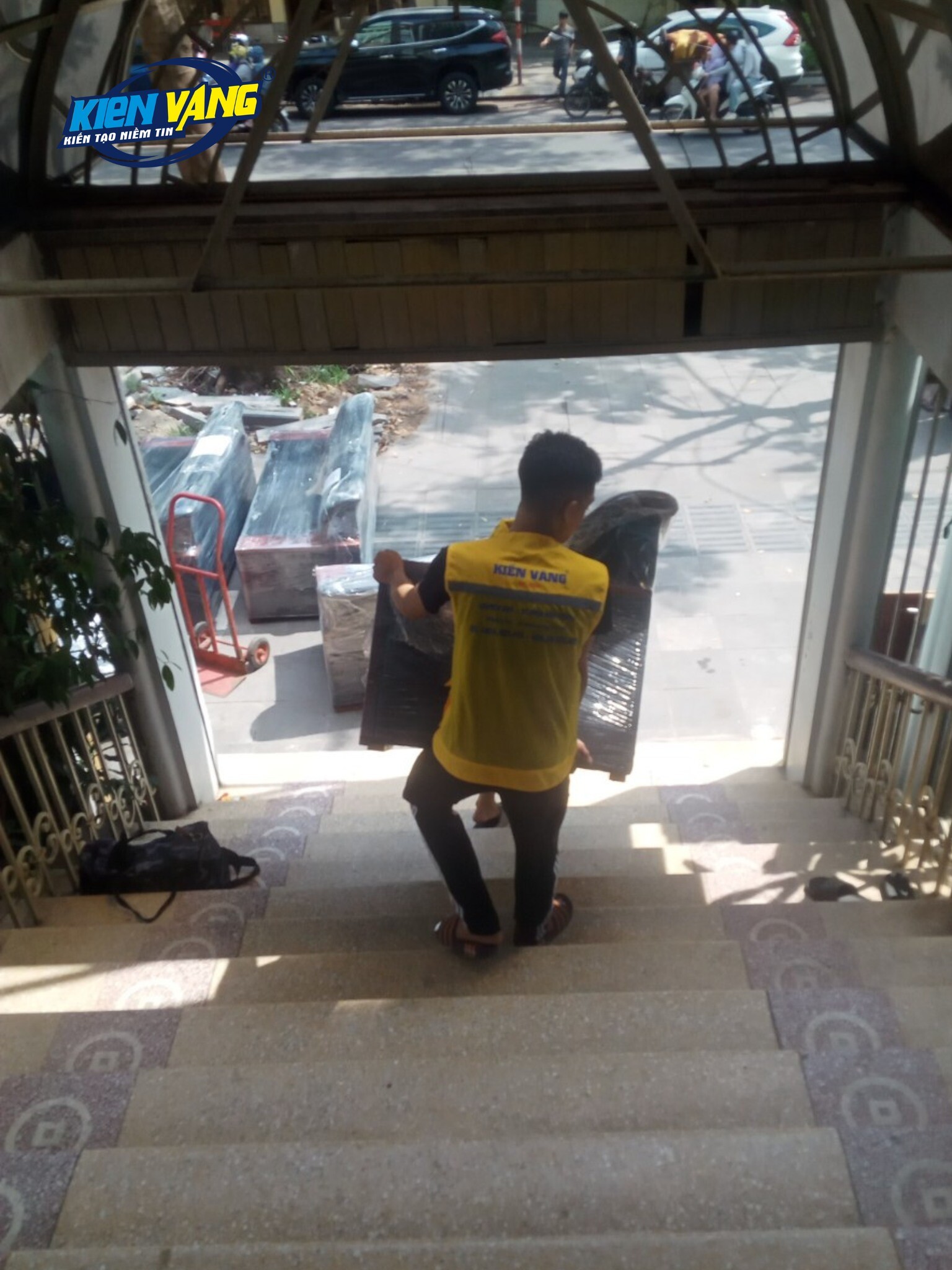 KIẾN VÀNG GROUP 7