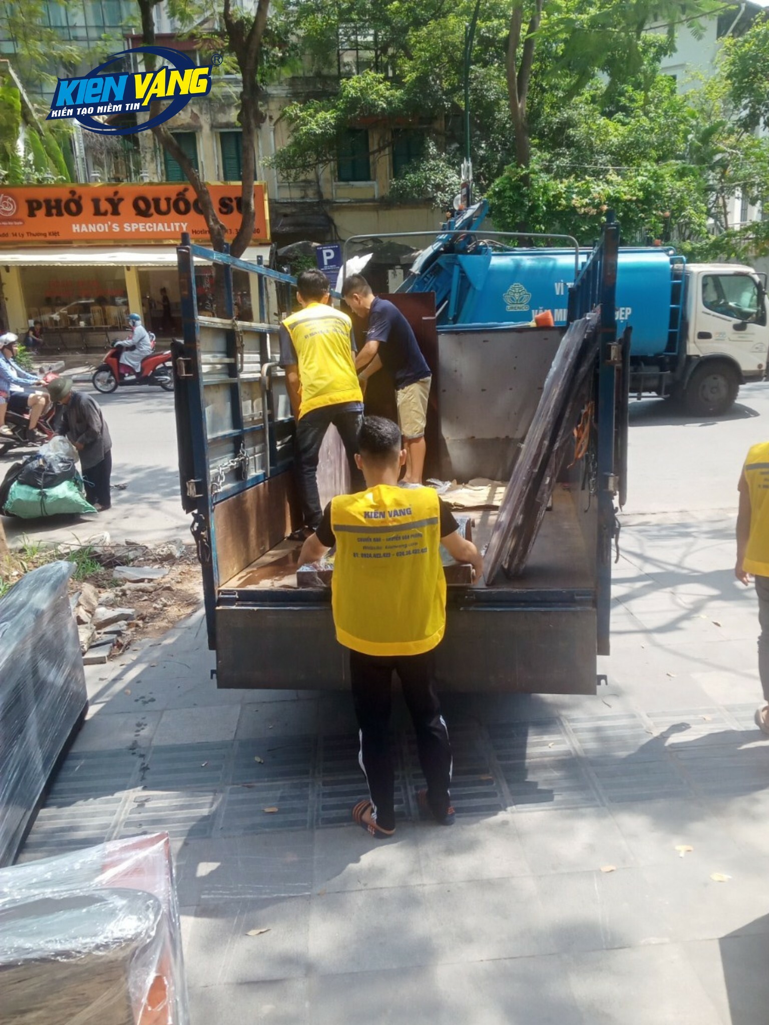 KIẾN VÀNG GROUP 8