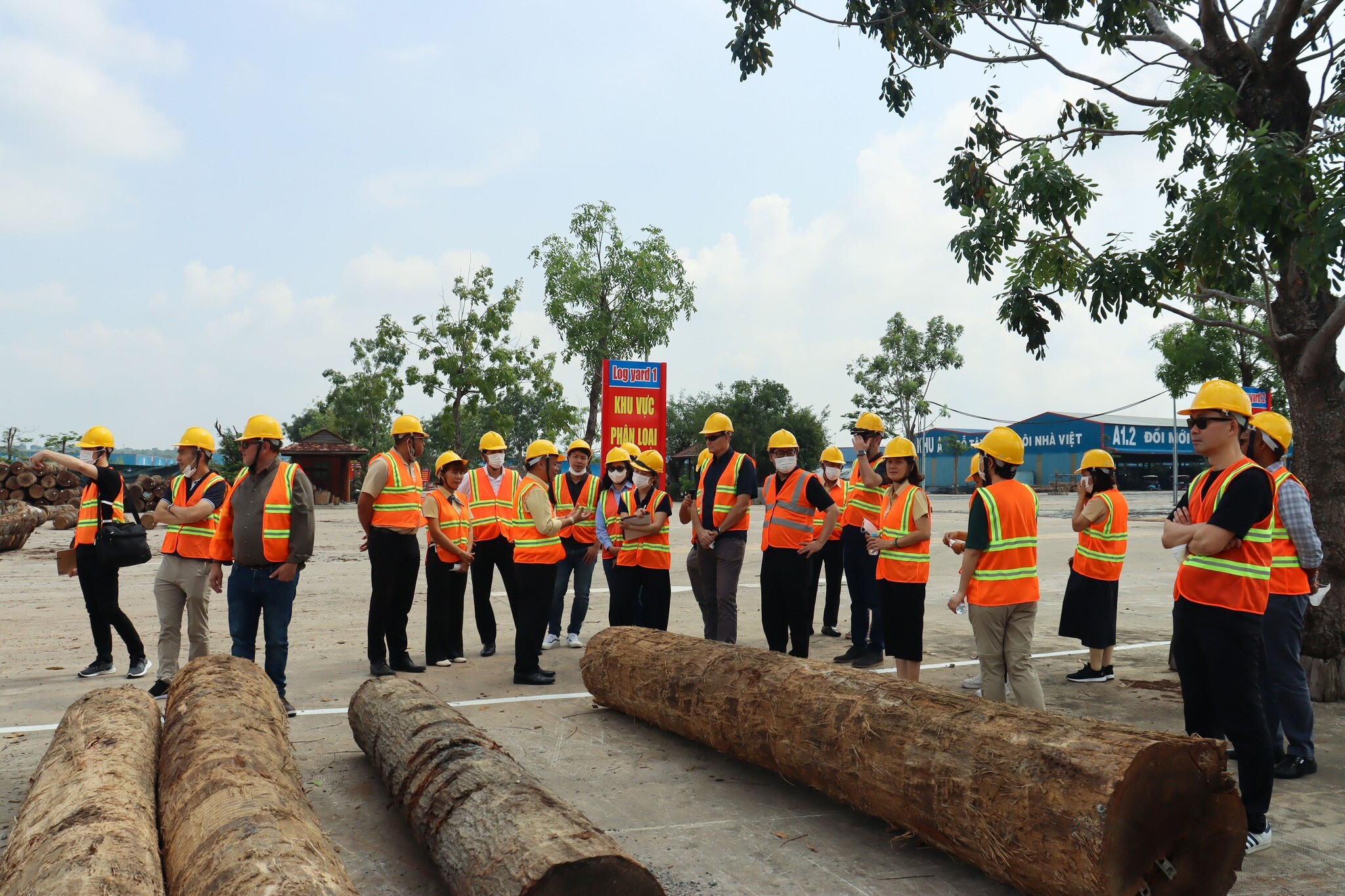 Tân Vĩnh Cửu - Tavico 3