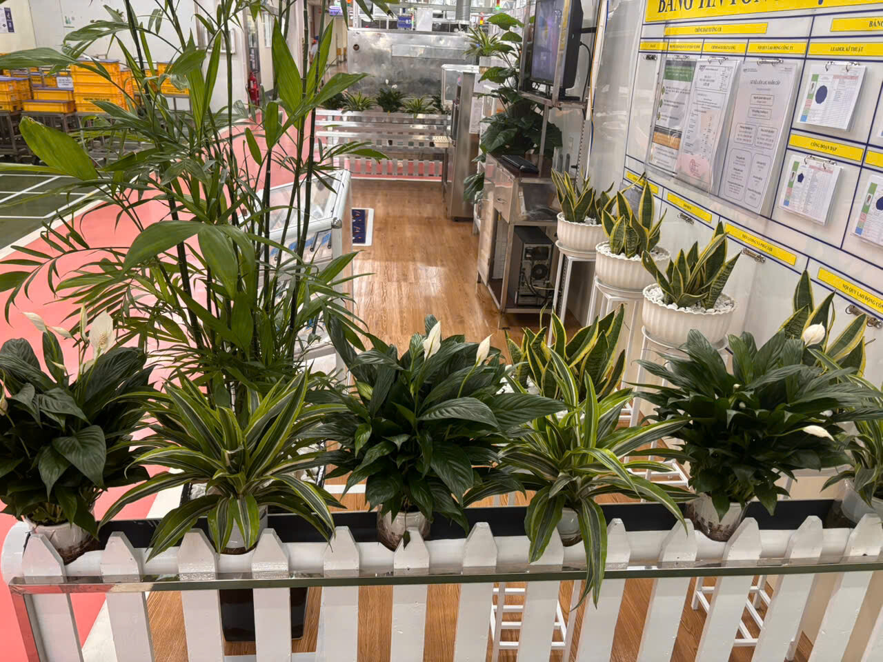 SYNZTEC VIỆT NAM 11