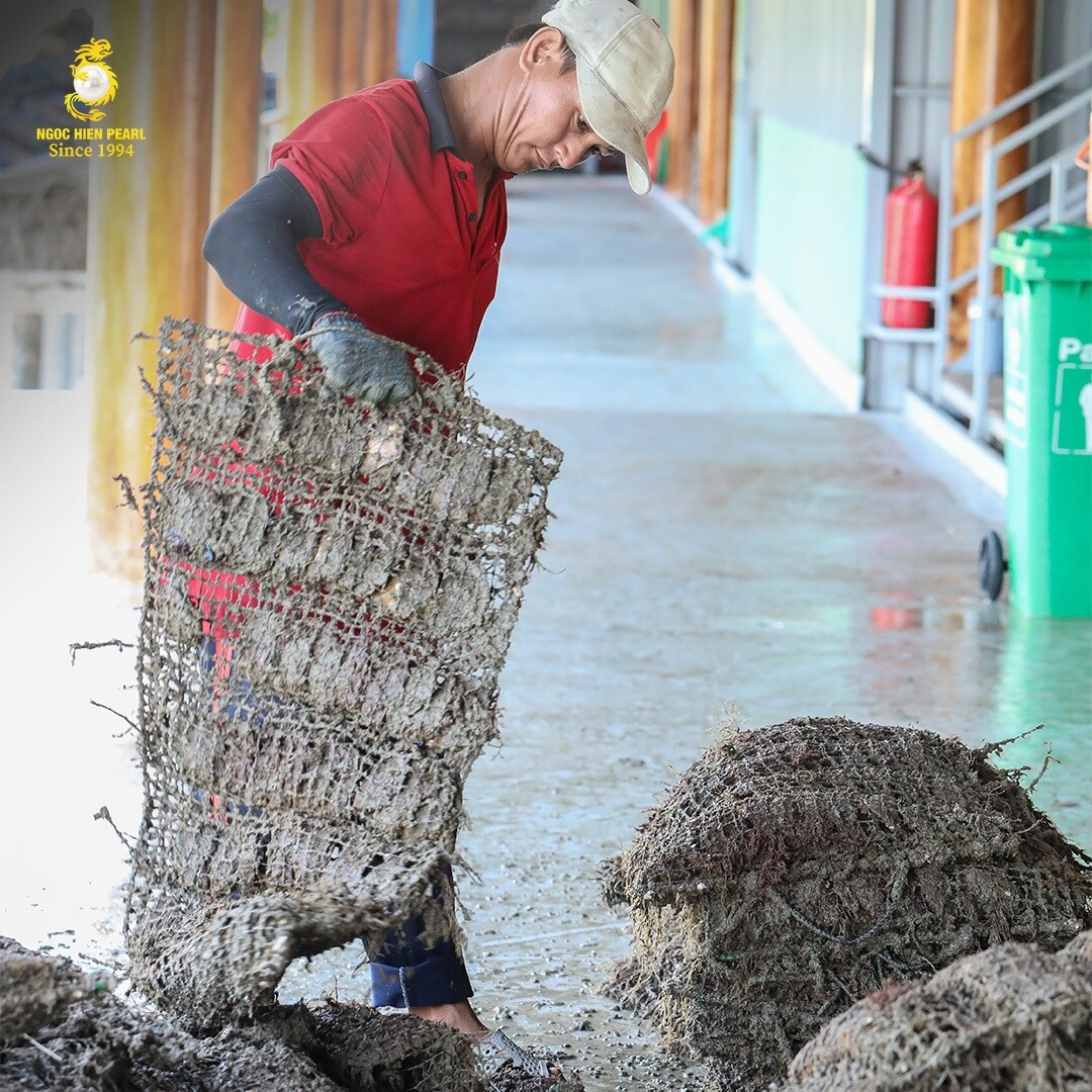 DNTN Ngọc Trai Ngọc Hiền 3