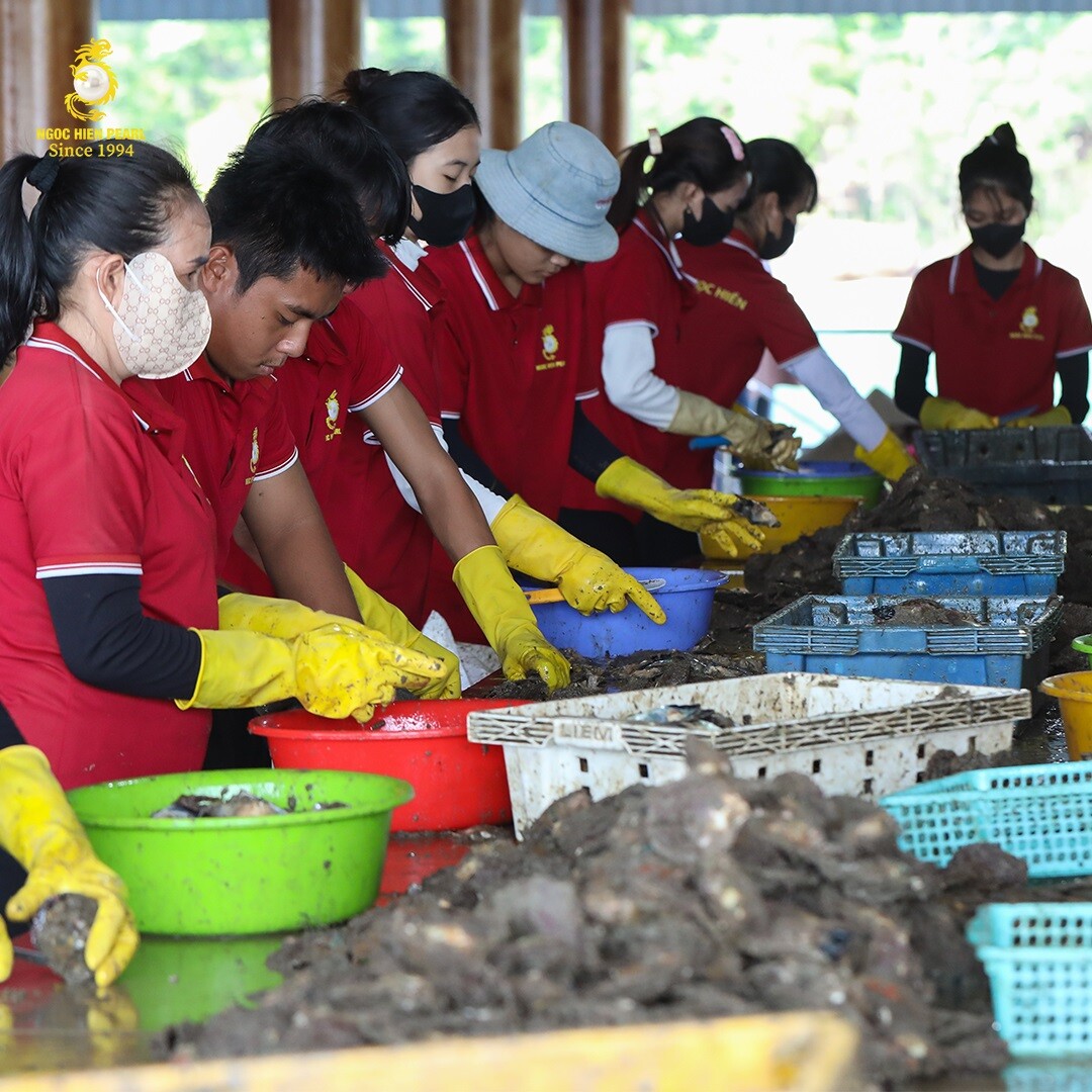 DNTN Ngọc Trai Ngọc Hiền 2