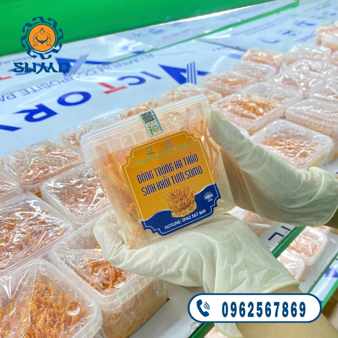 SuMo Nhật Việt 2