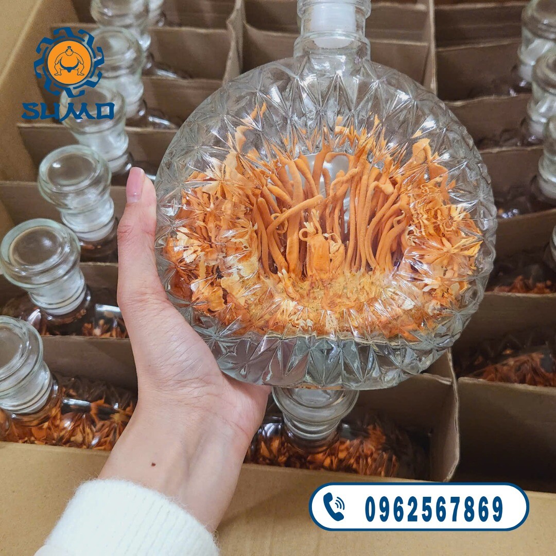 SuMo Nhật Việt 7