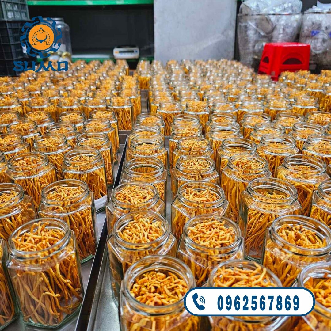 SuMo Nhật Việt 3