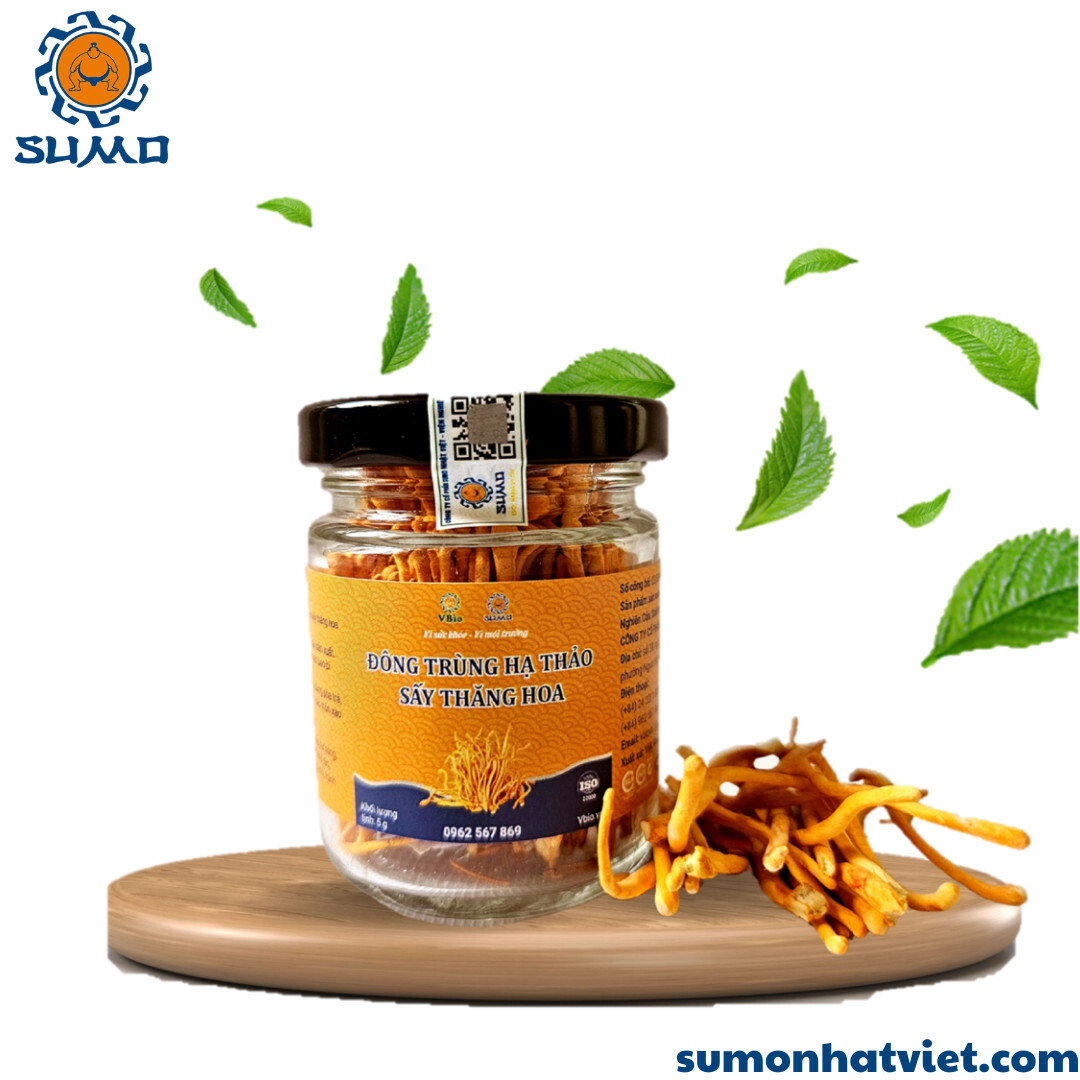 SuMo Nhật Việt 5