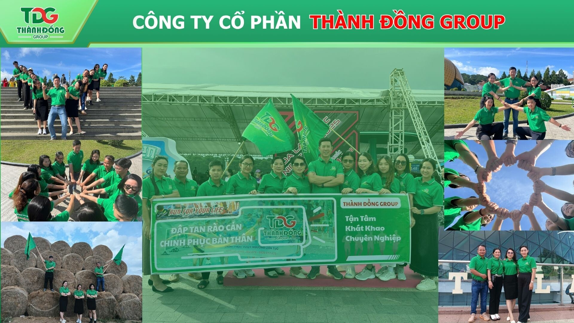 Thành Đồng Group 6