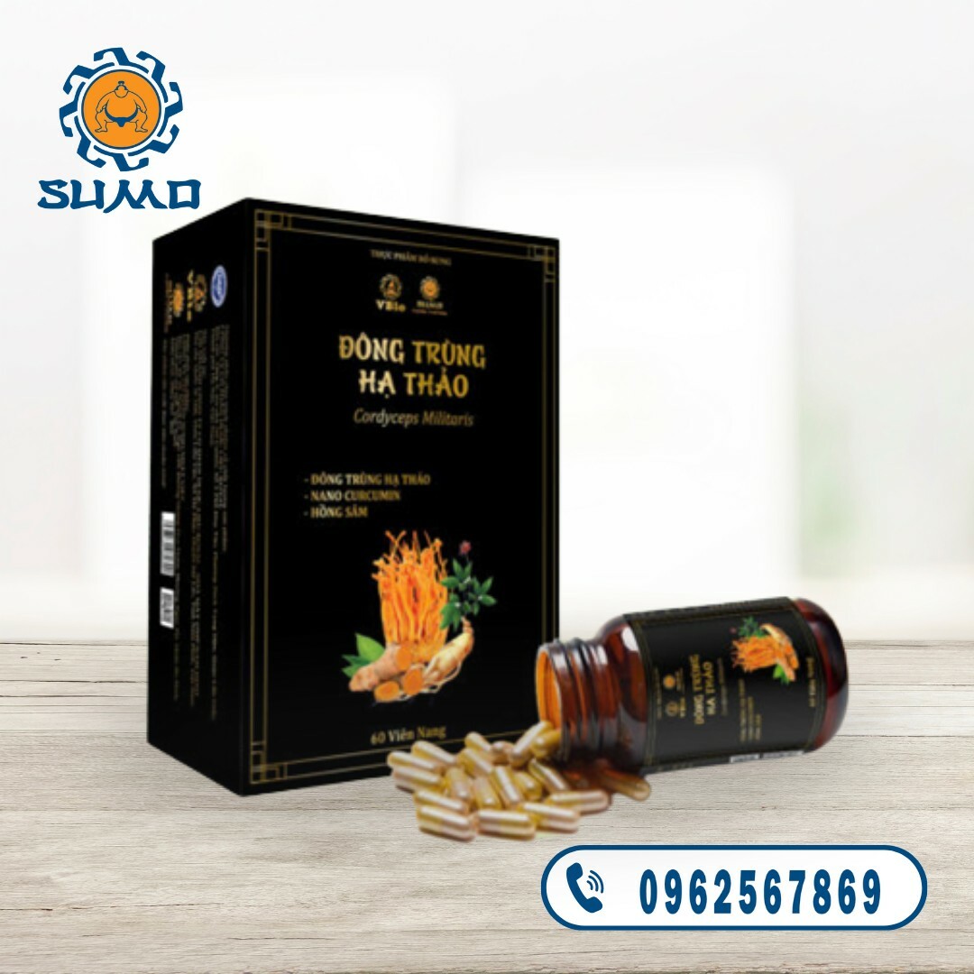 SuMo Nhật Việt 4