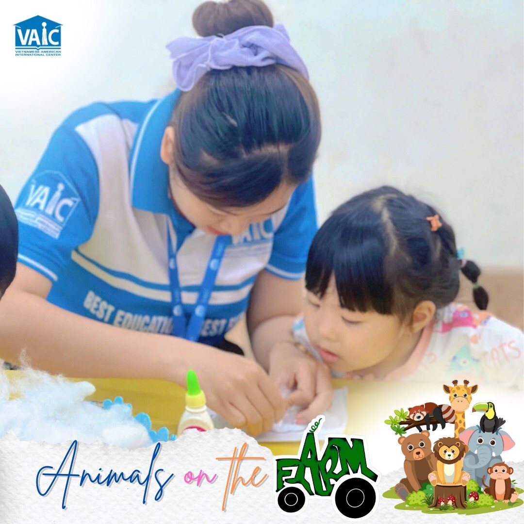 ANH VIỆT MỸ - VAIC 8