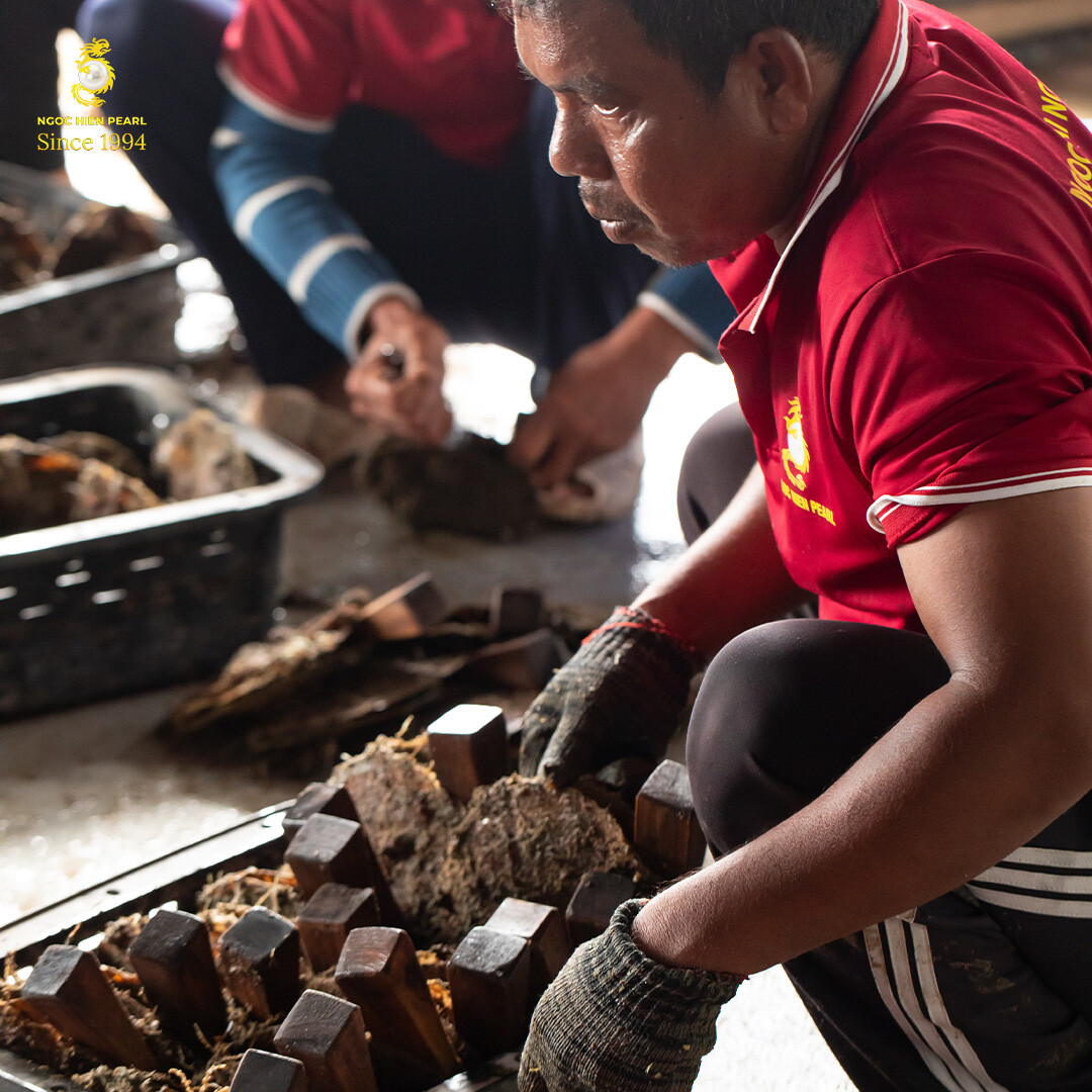 DNTN Ngọc Trai Ngọc Hiền 8