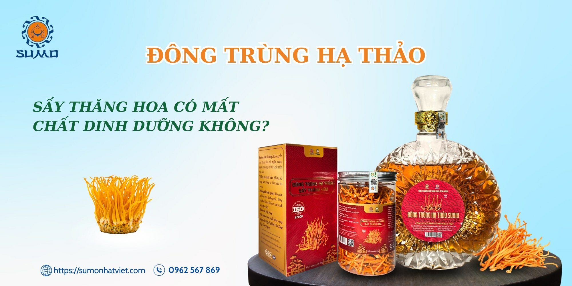 SuMo Nhật Việt 10