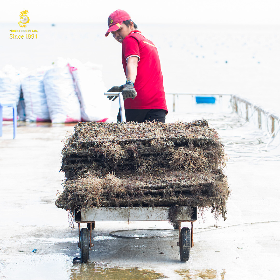 DNTN Ngọc Trai Ngọc Hiền 5